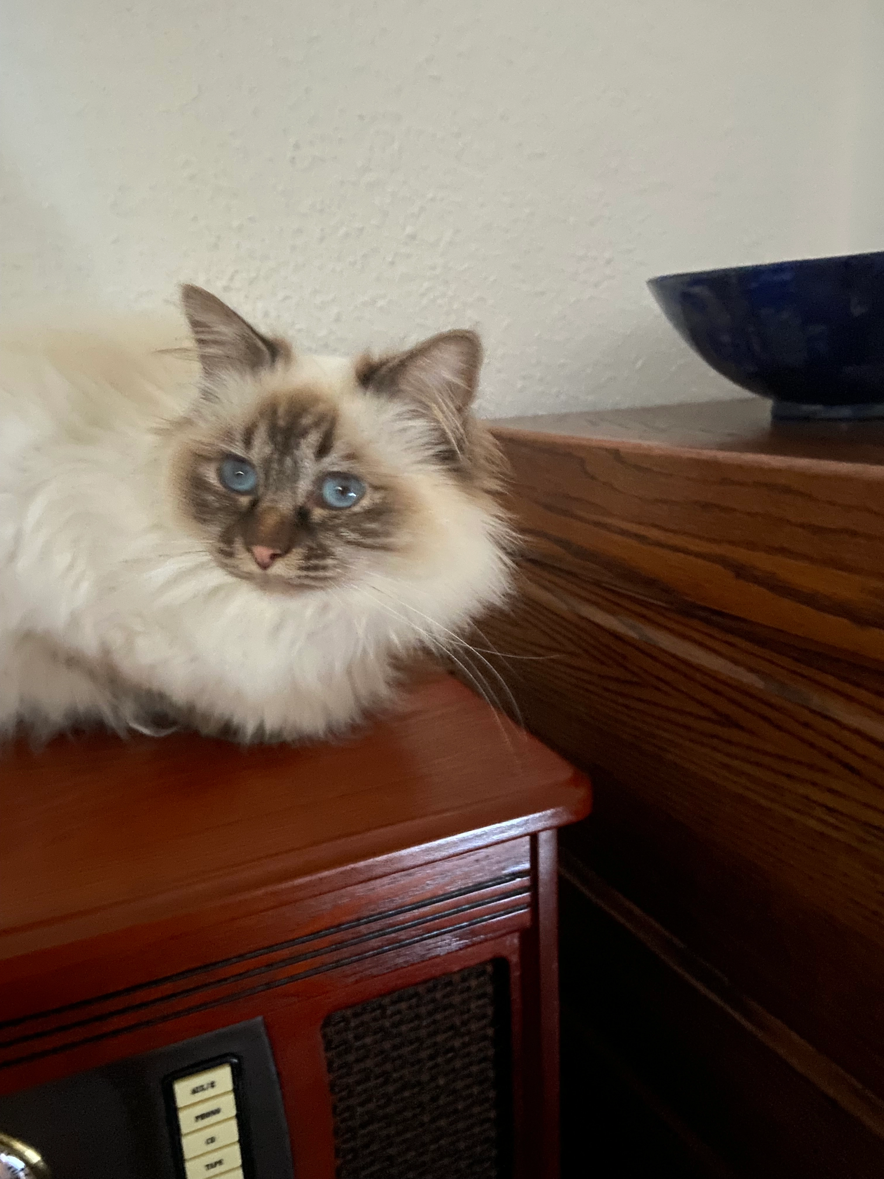 Charlotte  - Silcherstraße, Sindelfingen