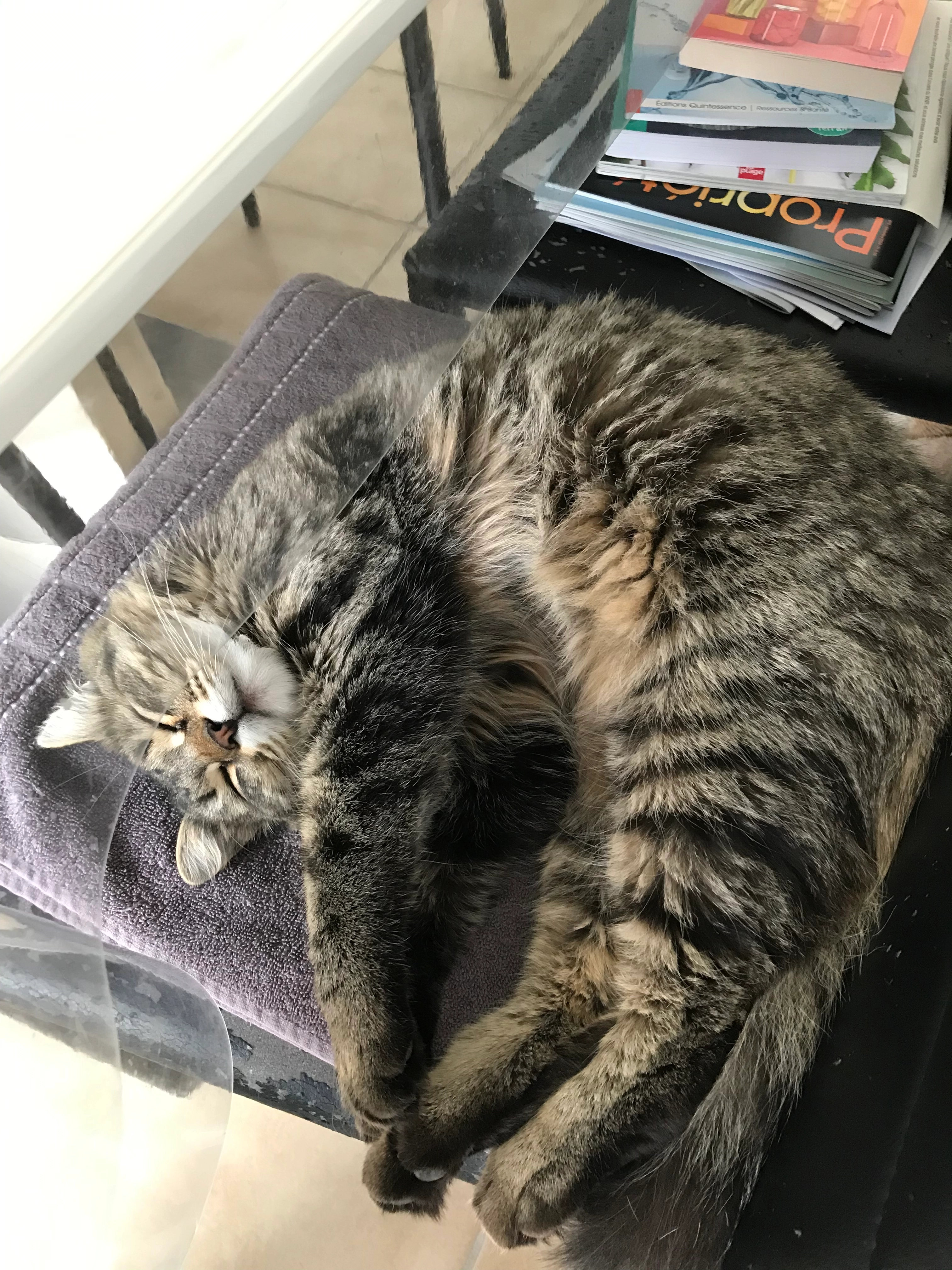 Manawa - Route de la Perrausaz 32, Montagny-près-Yverdon