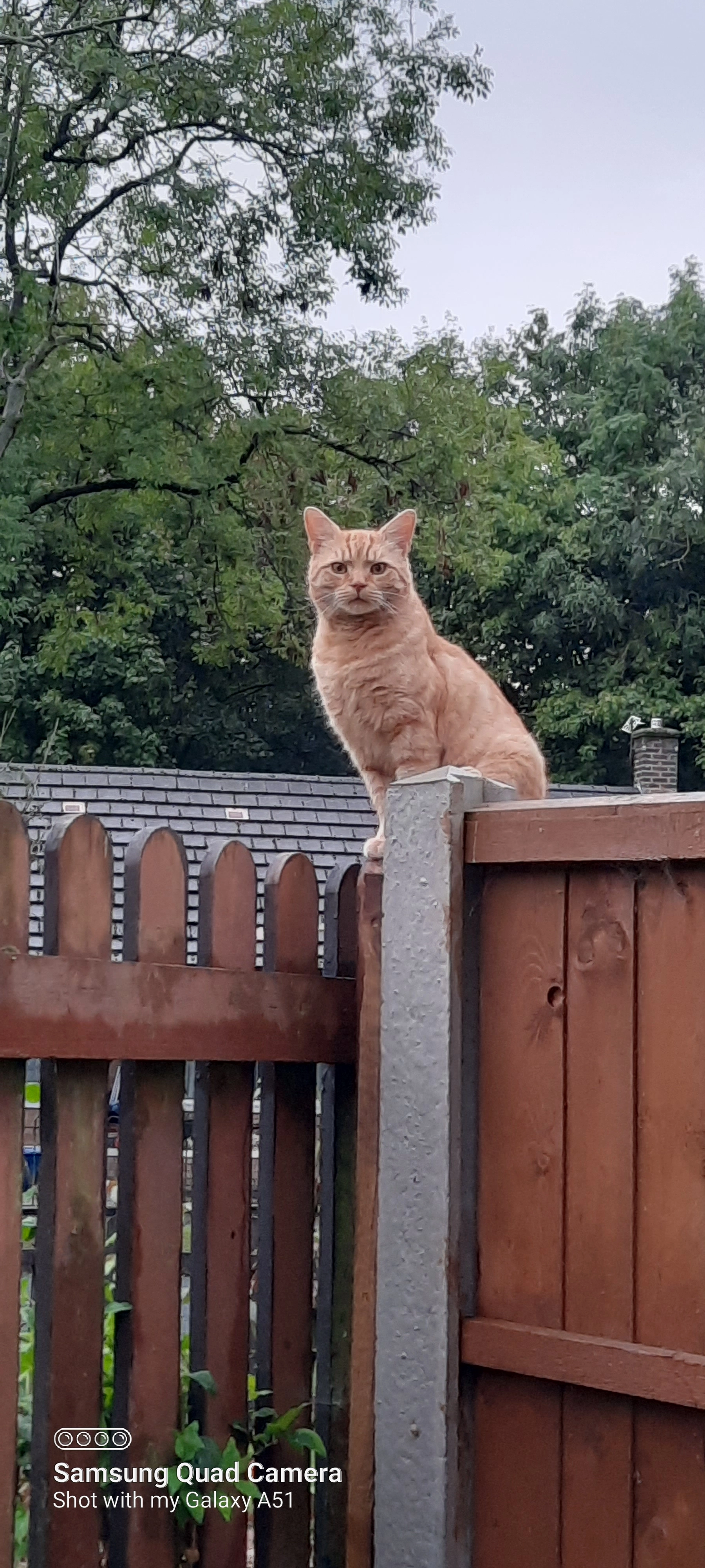 Jimmy  - Covert Road, Oldham