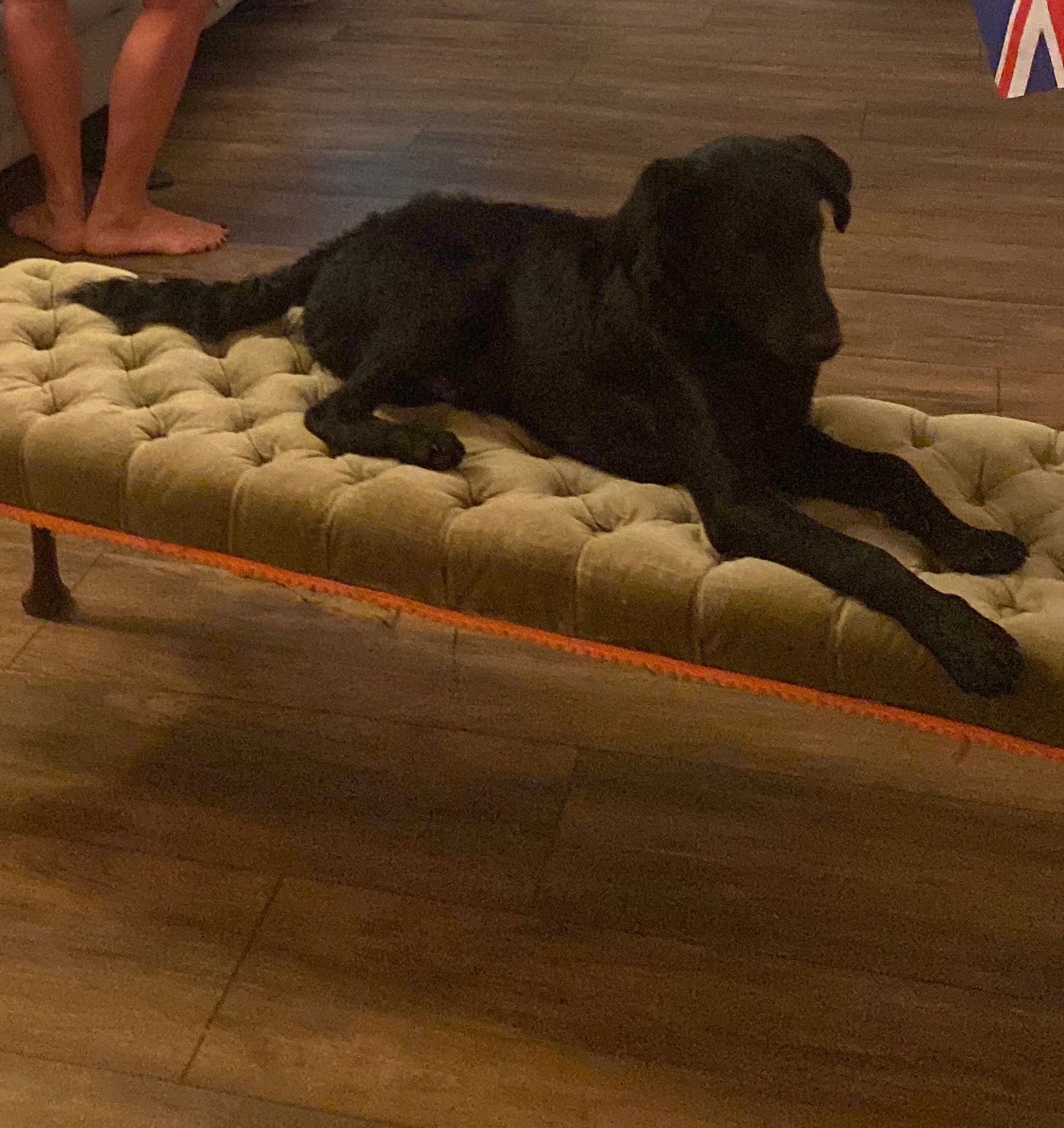 Monty - Camí De Les Sénies Ii, Gata de Gorgos