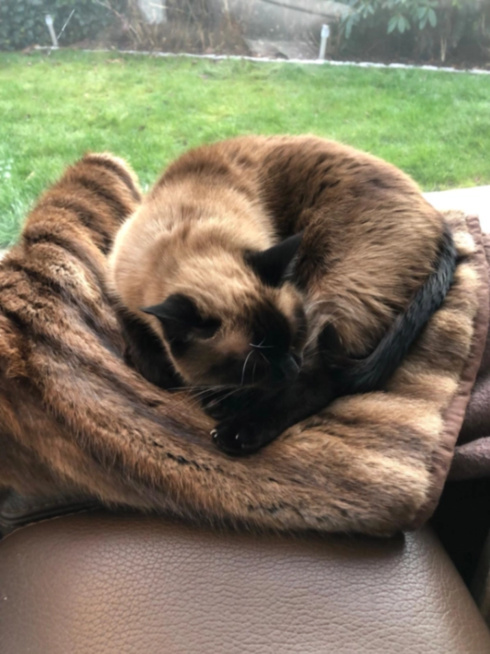 Crêpe - Bodenstrasse 6, Weiningen