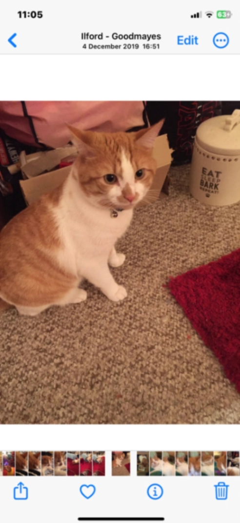 Ginge - Alloa Road, Ilford