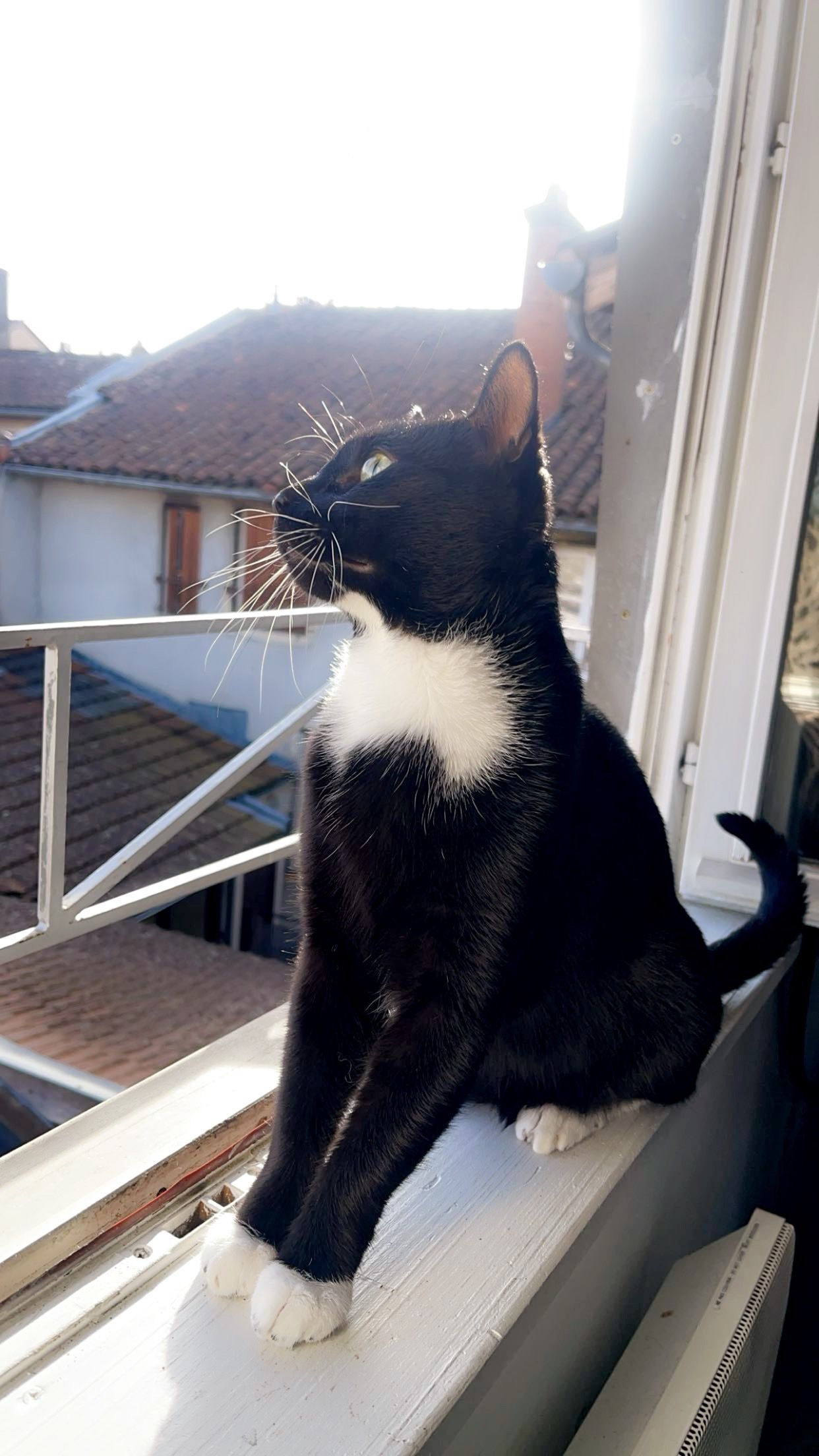 Sheldon - Impasse Du Clos Des Murgers, Revonnas