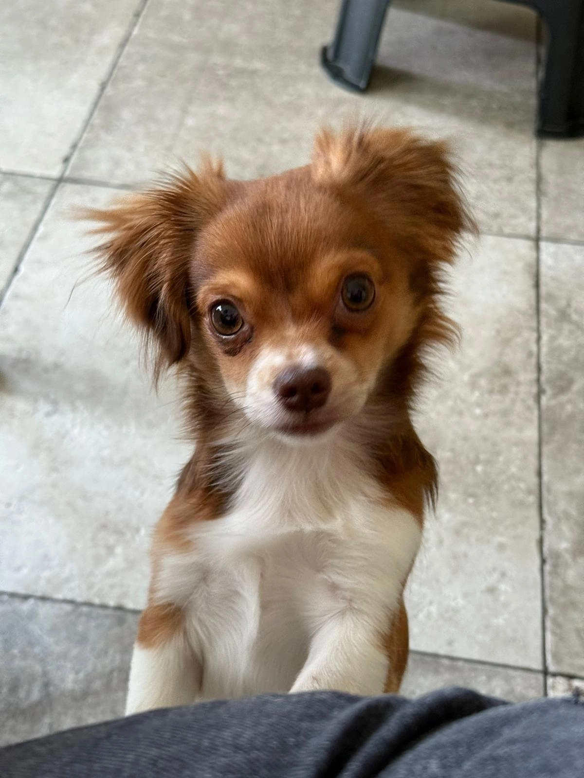 Casey - Oostercluft, Steenwijk