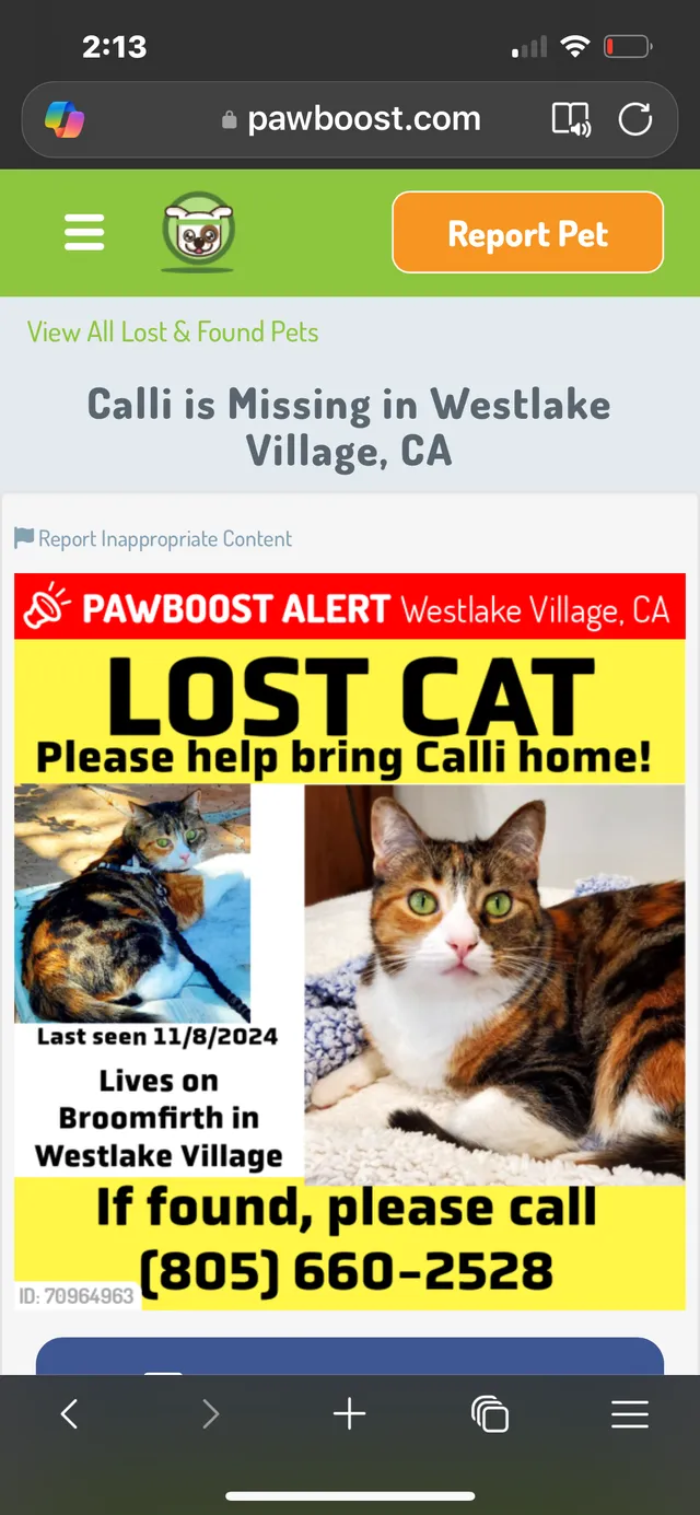 Calli - CA-23, Westlake Village