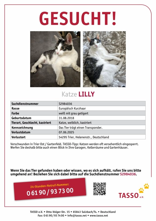 Lilly - Helenenstraße, Trier