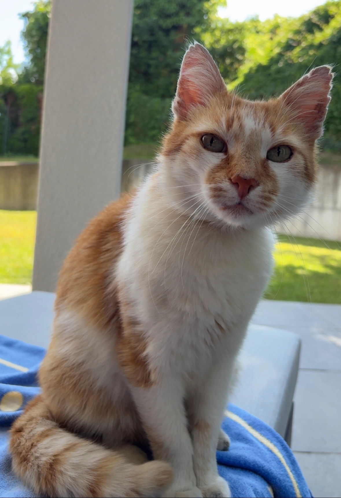 Fipsi - Rudolfstraße 80, Graz