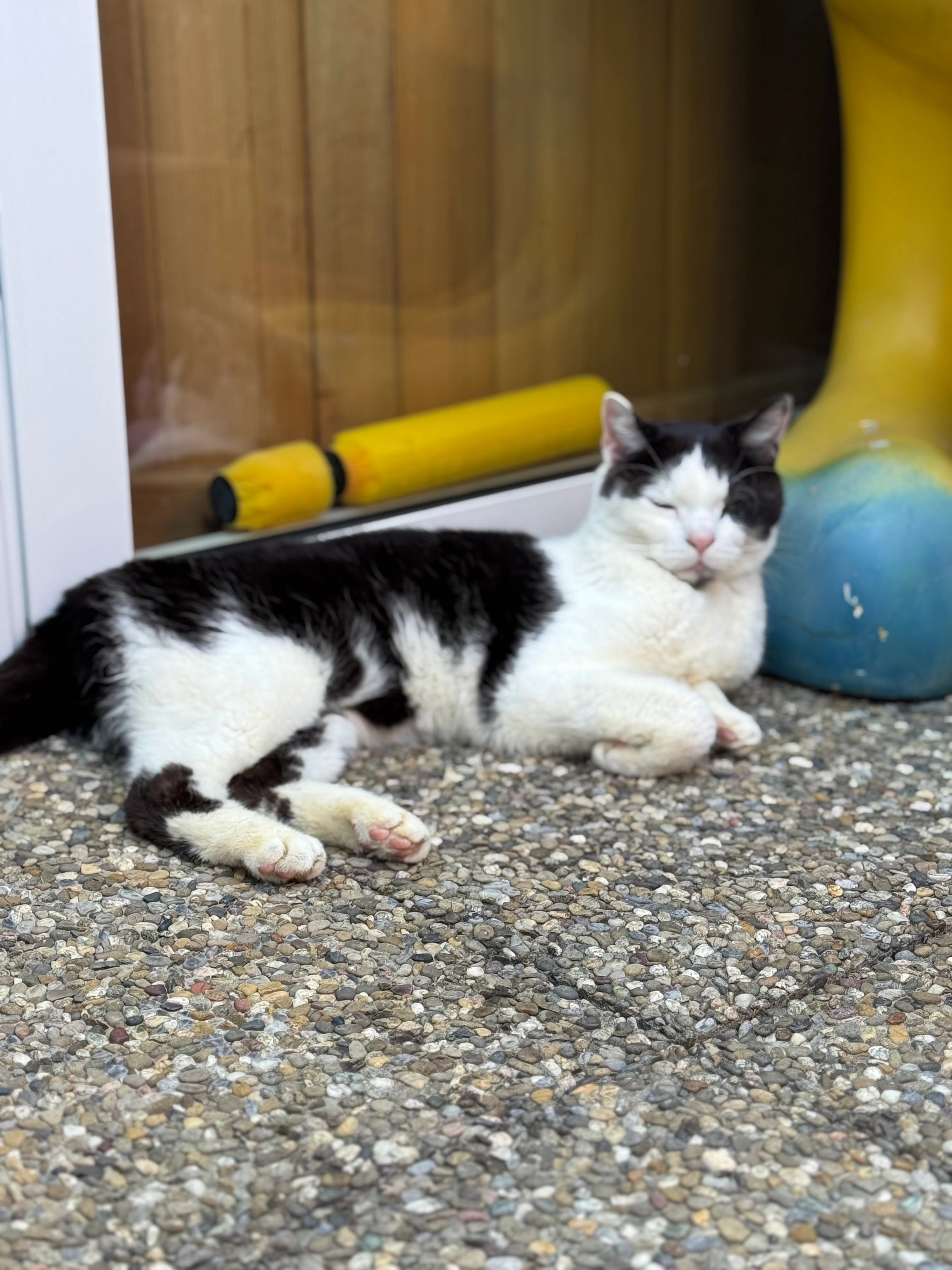 Felix - Hegenheimermattweg, Allschwil