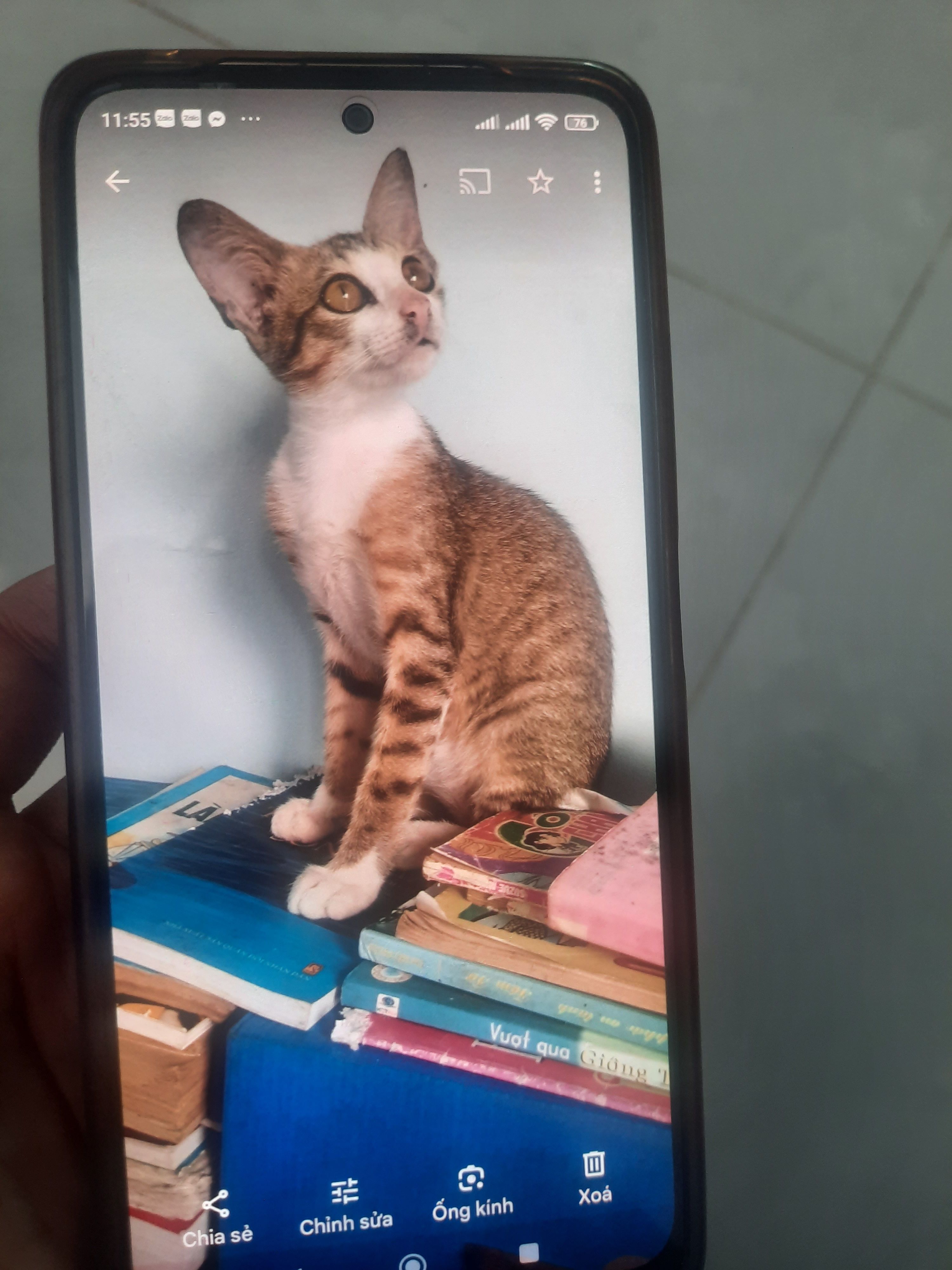 Diễm sâm - 96100, Sóc Trăng