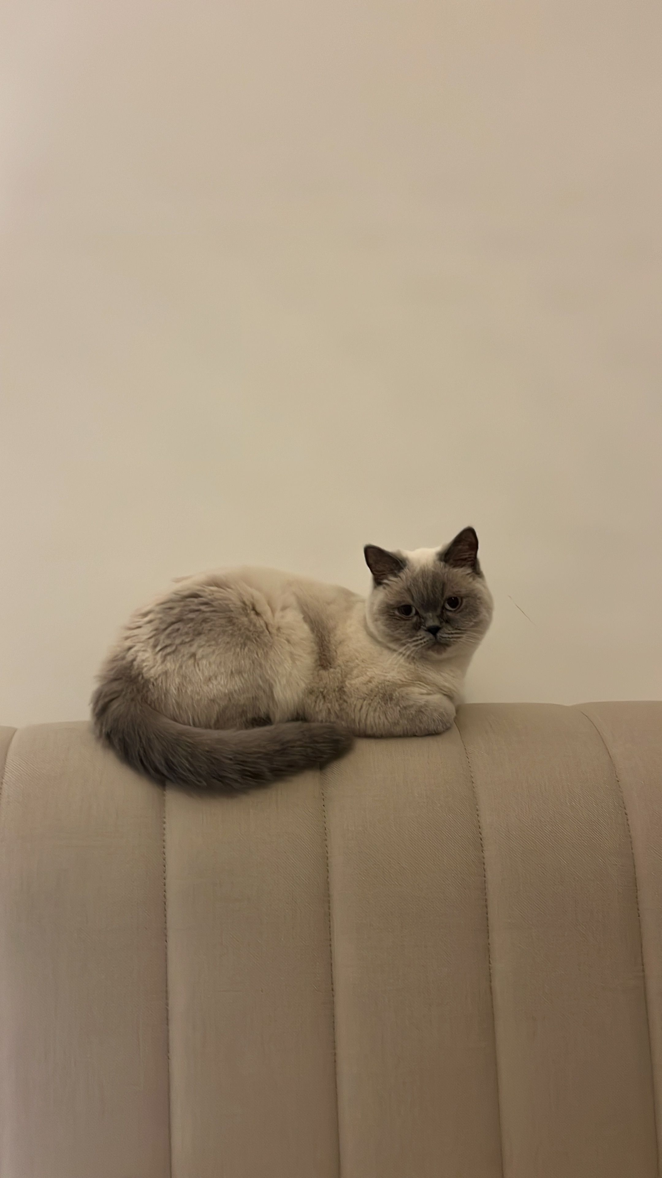 Beyaz - 561. Sokak, Avanos