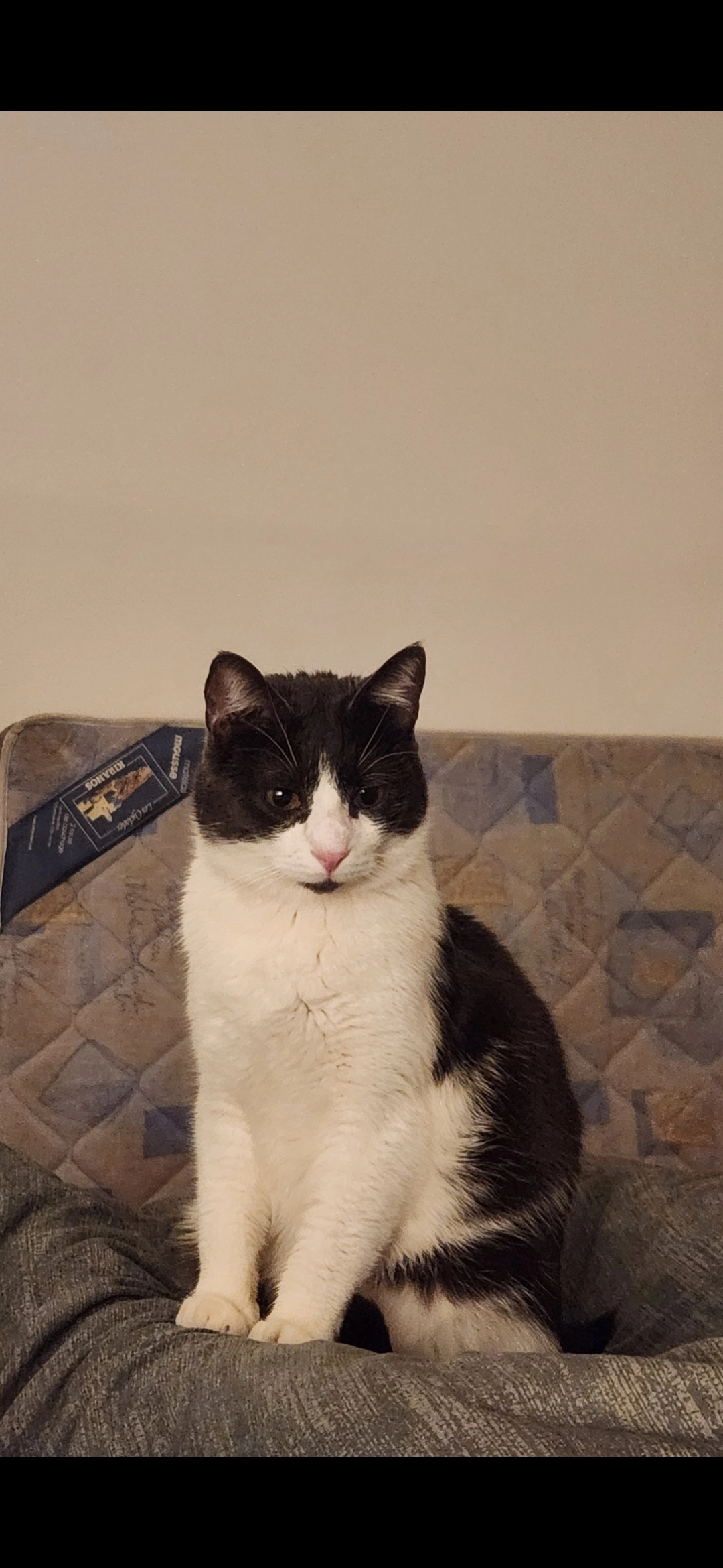 Kusha  - Impasse Des Lauriers, Fragnes