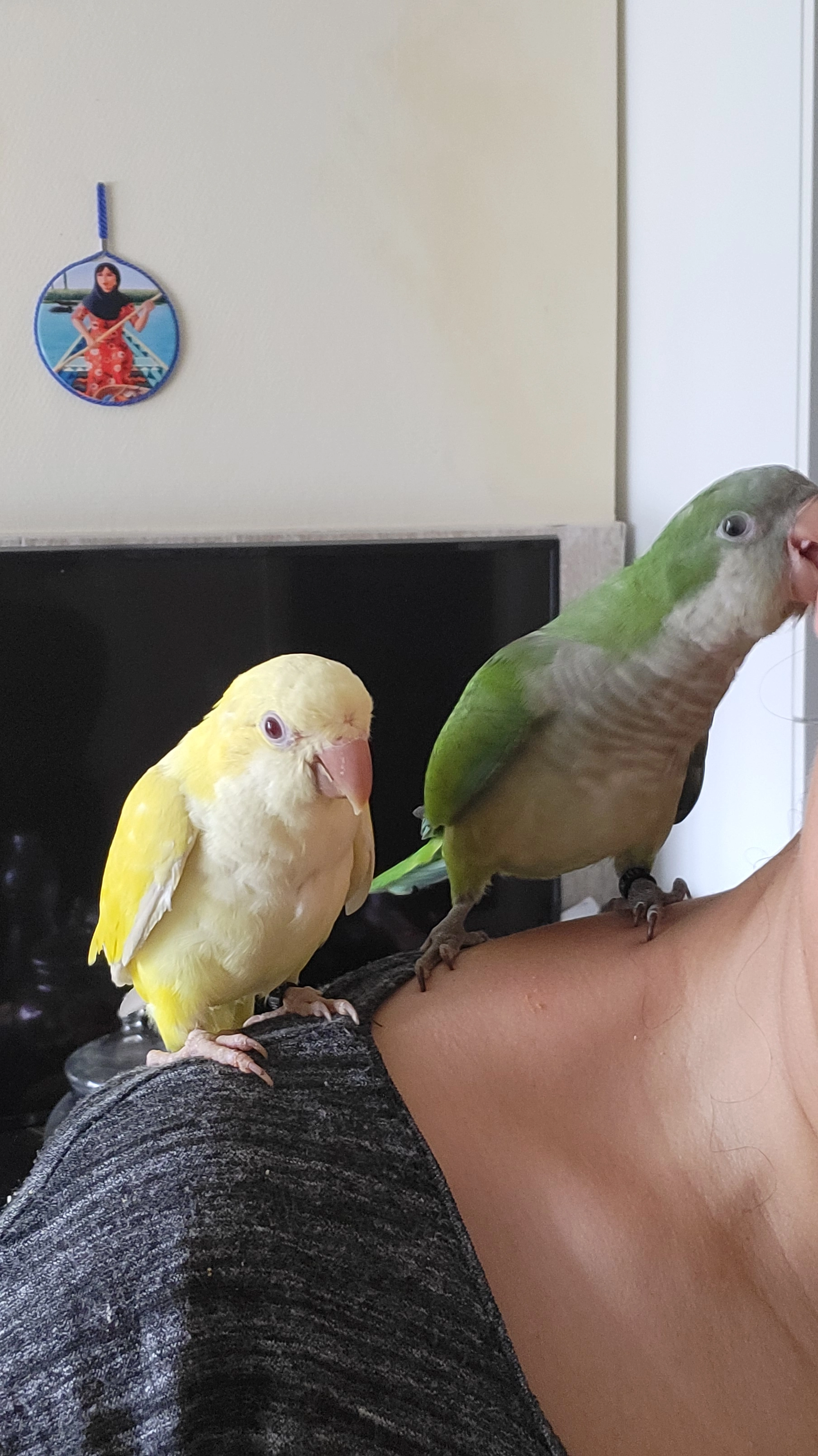 Quaker couleur jaune de 2025 il m - Rue du Foyer Schaerbeekois, Schaerbeek