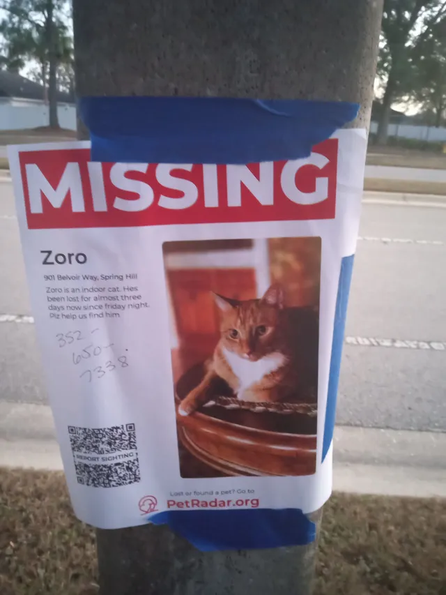 Zorro  - 901 Belvoir Way, Spring Hill