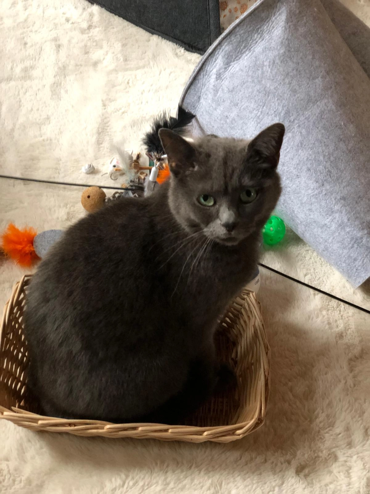 Smokey - Alemannenstrasse, Wasseralfingen