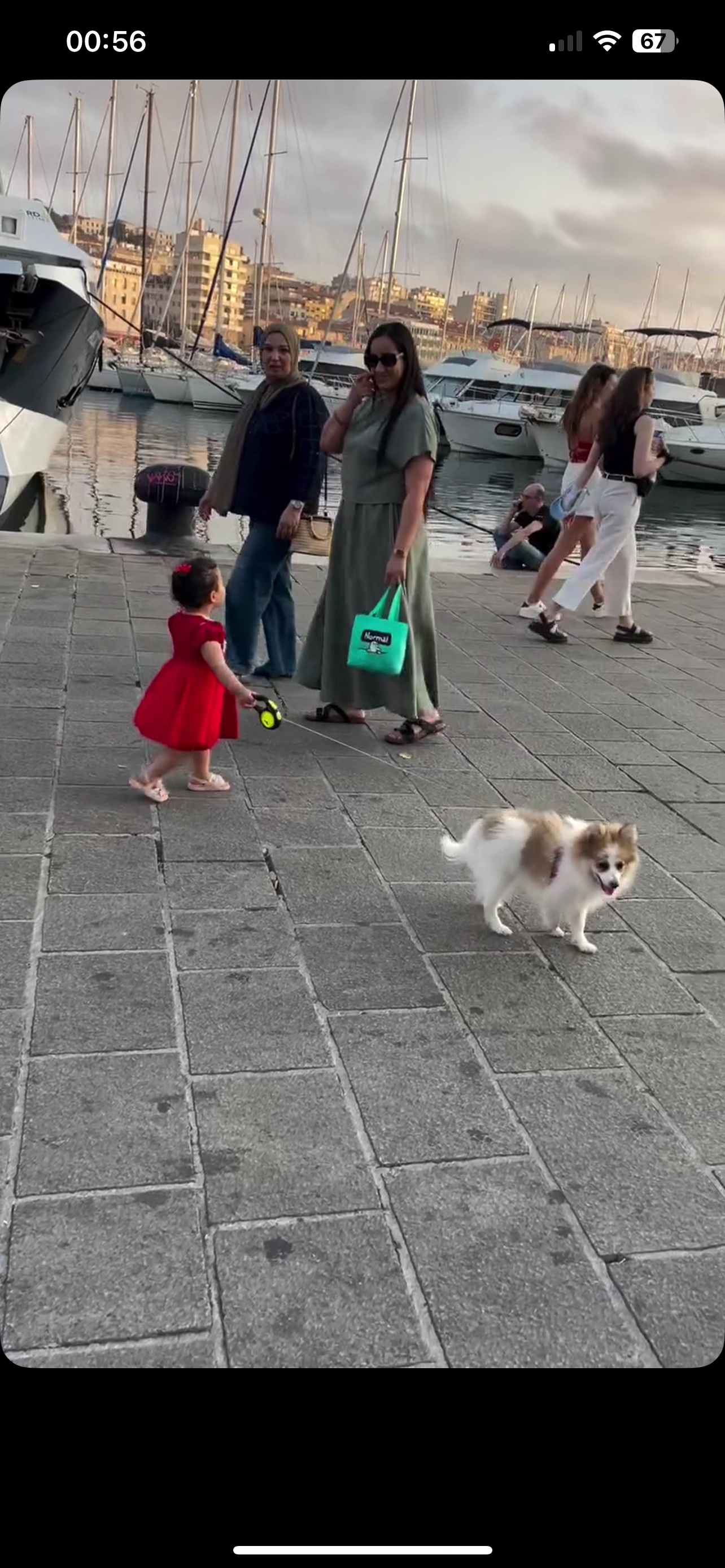 snopi - 76 Rue Saint-Pierre, Marseille