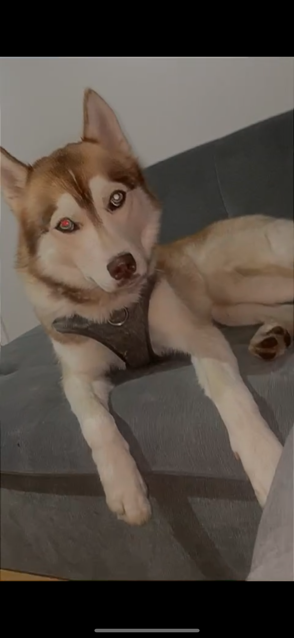 Wilko - Pinner Grove, Pinner