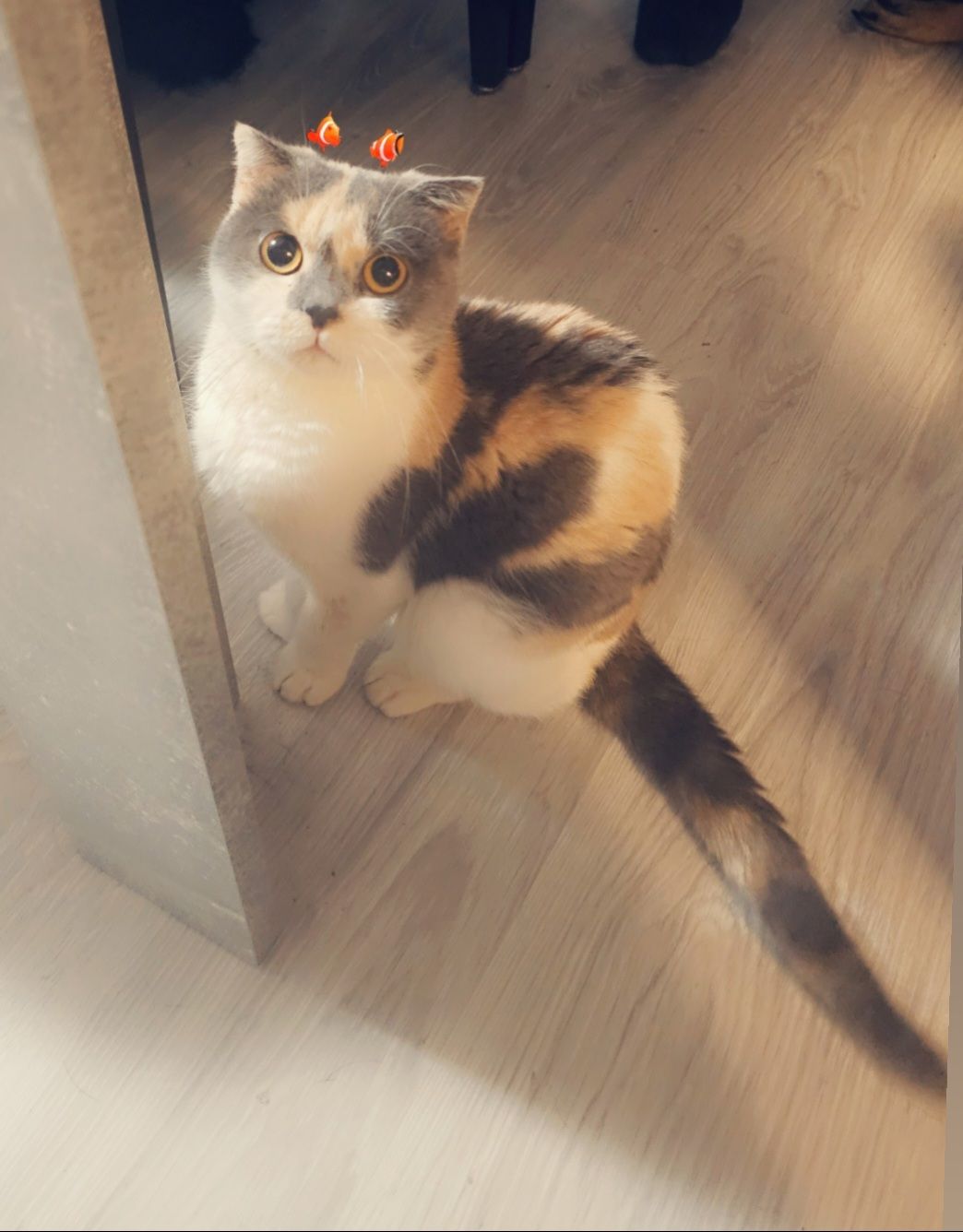 Baika - Kirchenstraße, Münsterhausen