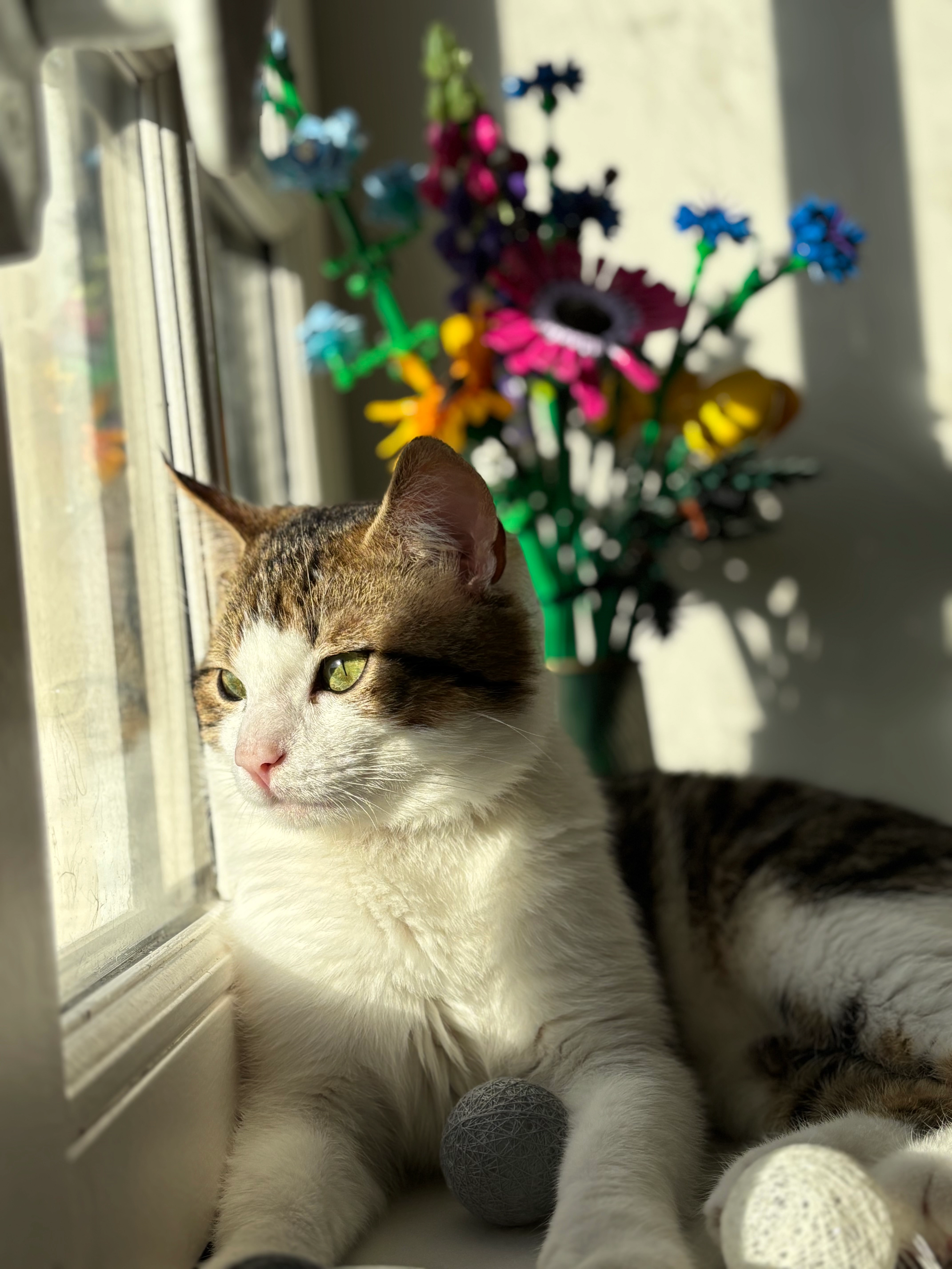 Ragnar - Rue Marie Virginie Vaslin, Blois