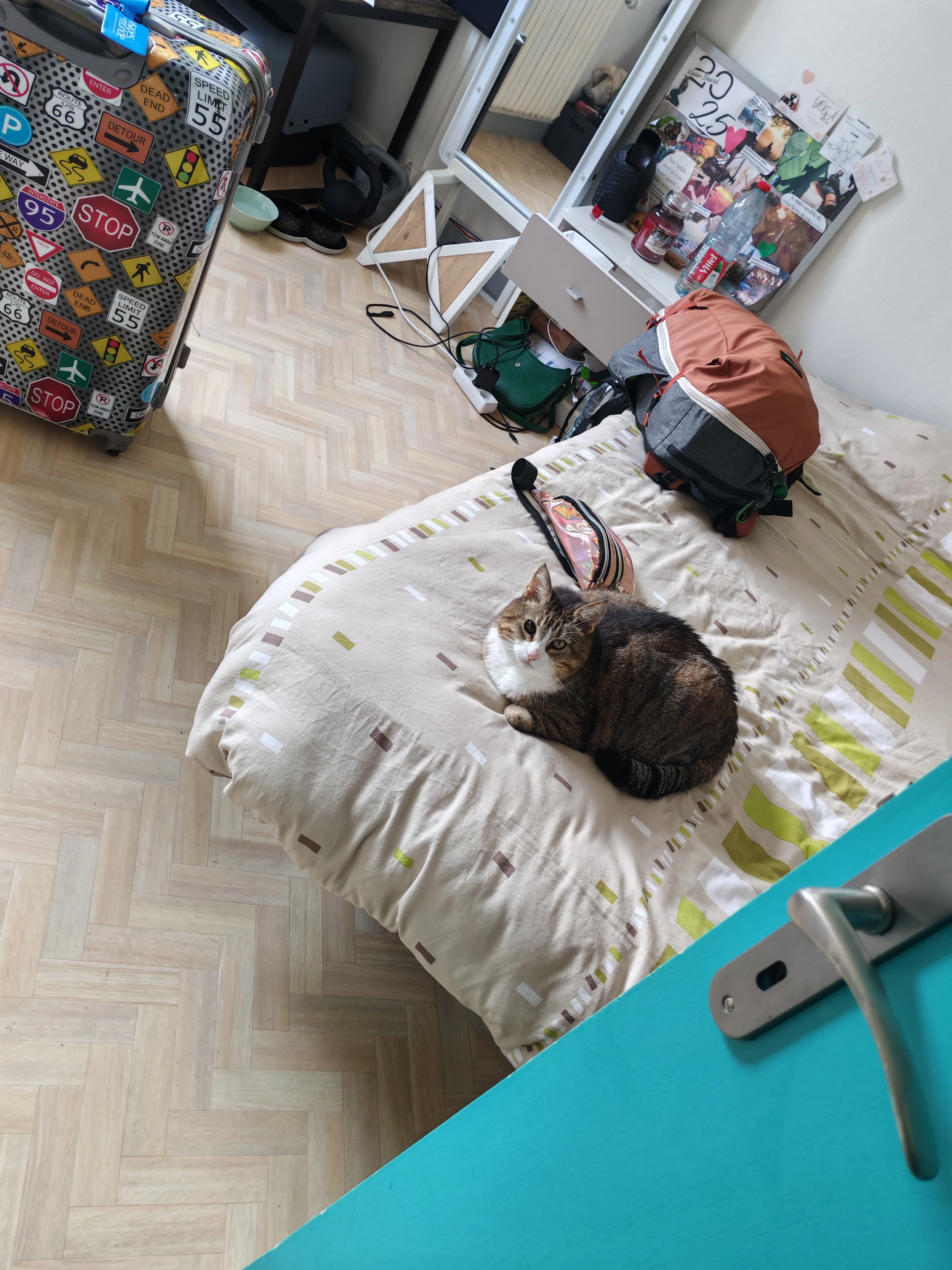 Arya - Route de Challans, Aizenay