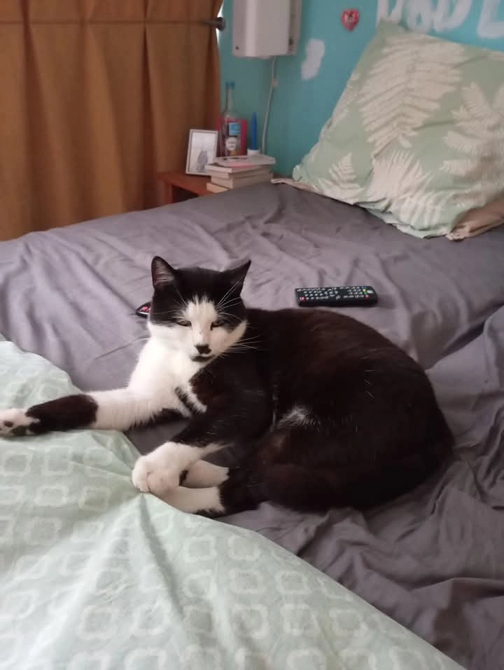 Eliot  - 16 Boucle du Carreau de la Mine, Thionville