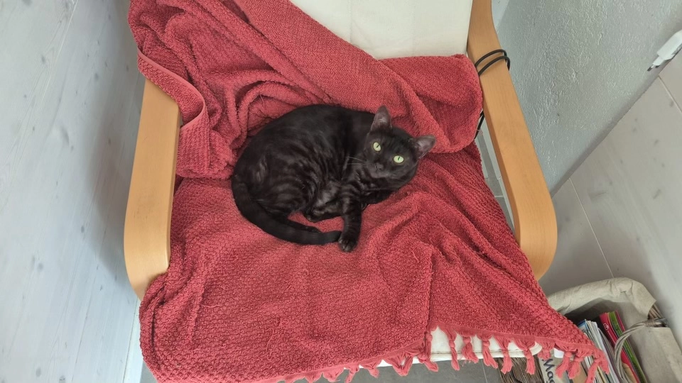 Asma - Chemin des Fauvettes 4, Estavayer