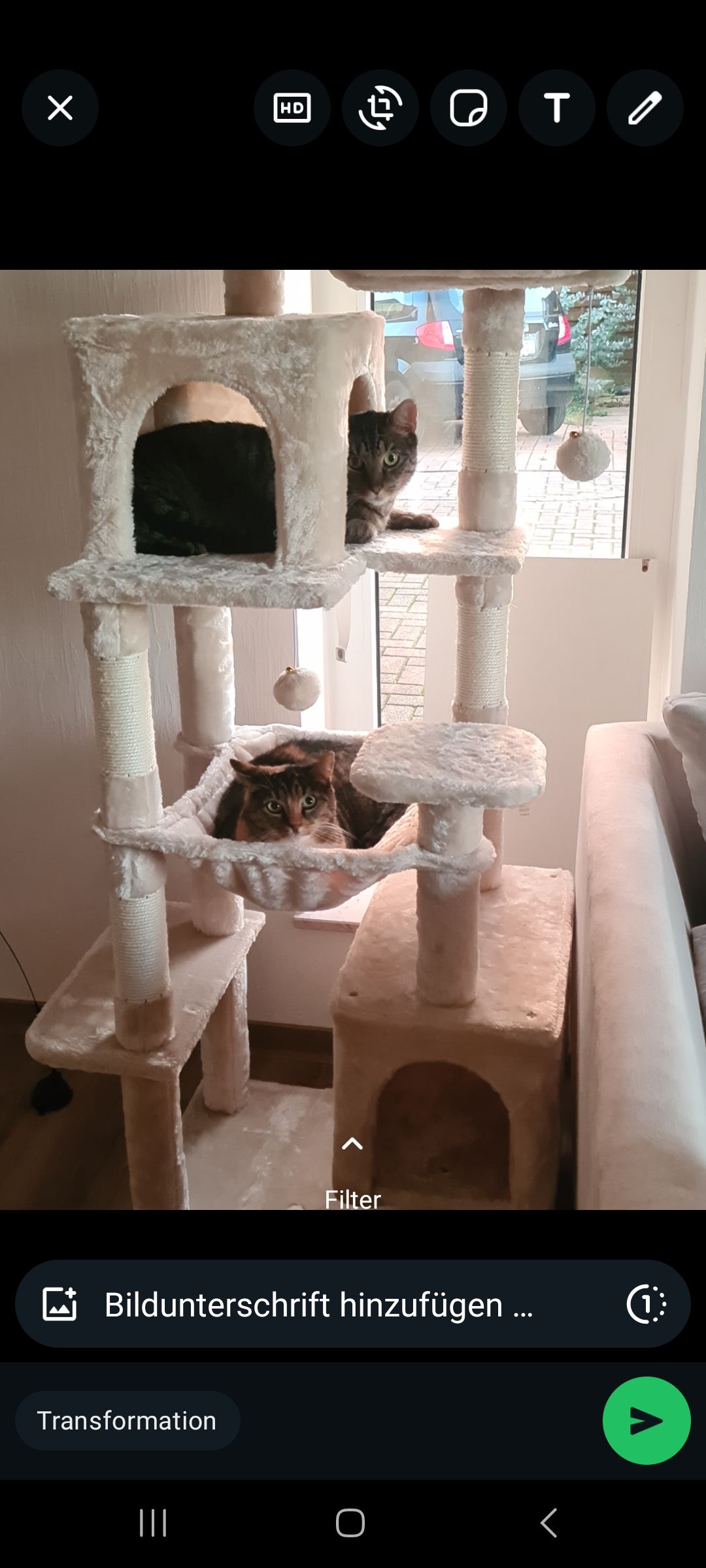 Pria und Pilo - Hardinger Straße, Neuenhaus