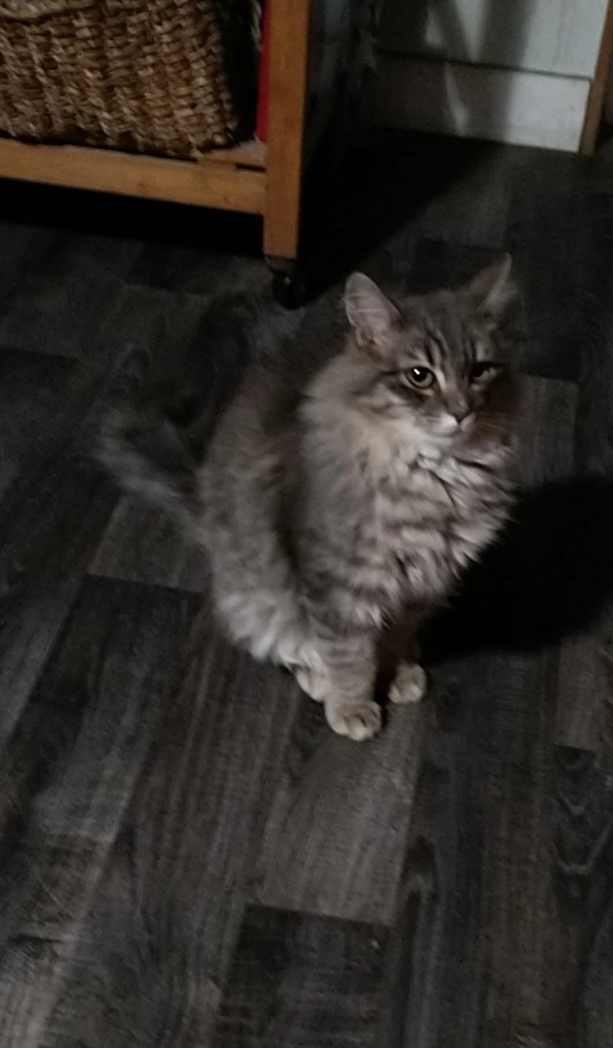 Ulysse - Le Bourg, Saint-Sulpice-sur-Risle