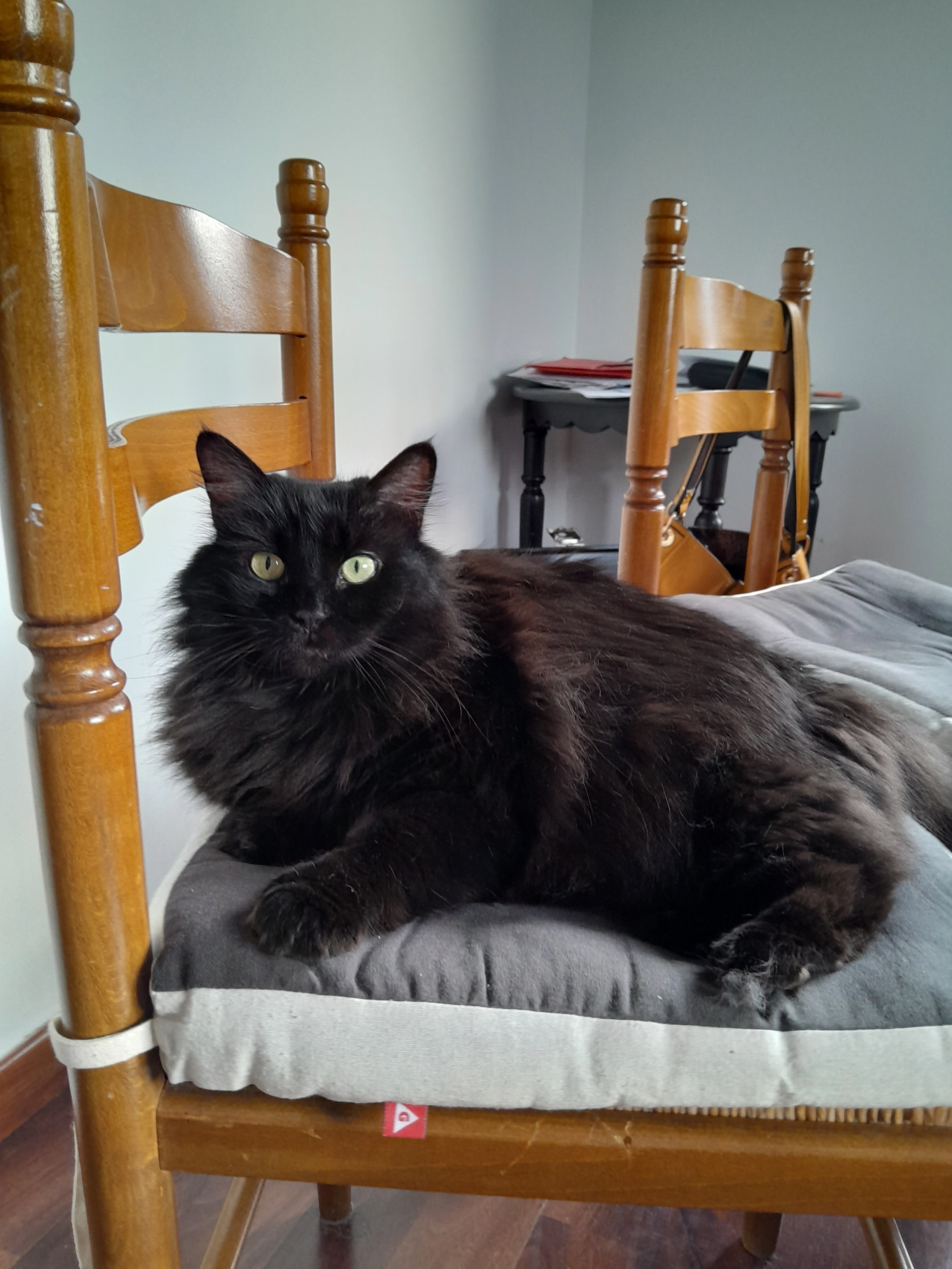 Chemsou - Route D'arnand, Doussard