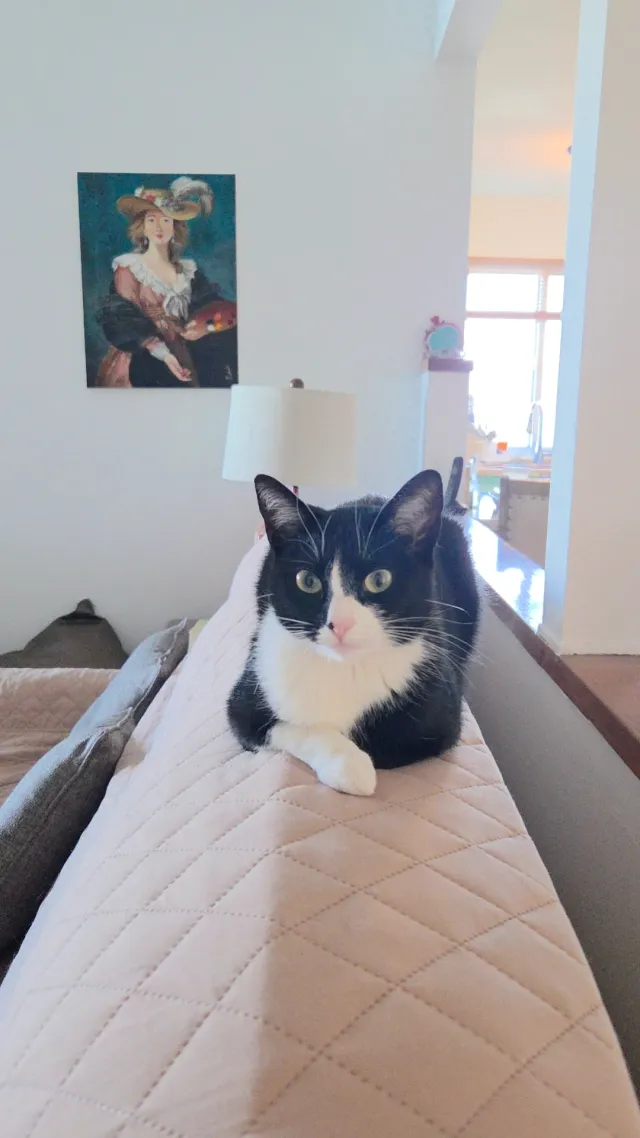 Banu - Moffatt Cir, Simi Valley