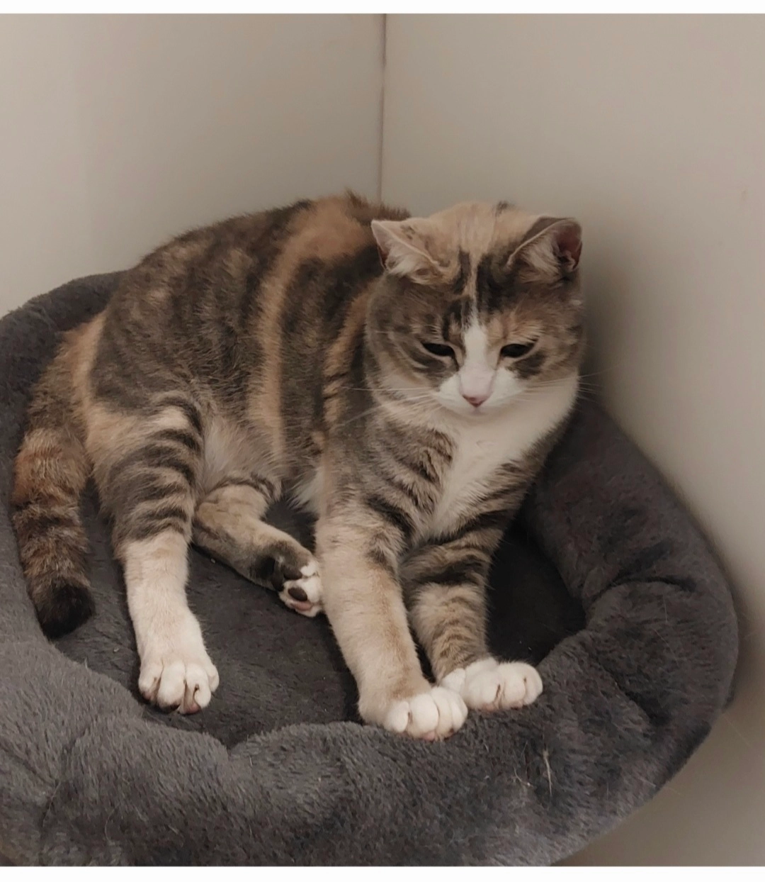 Luna - Stahlen, Sankt Niklaus