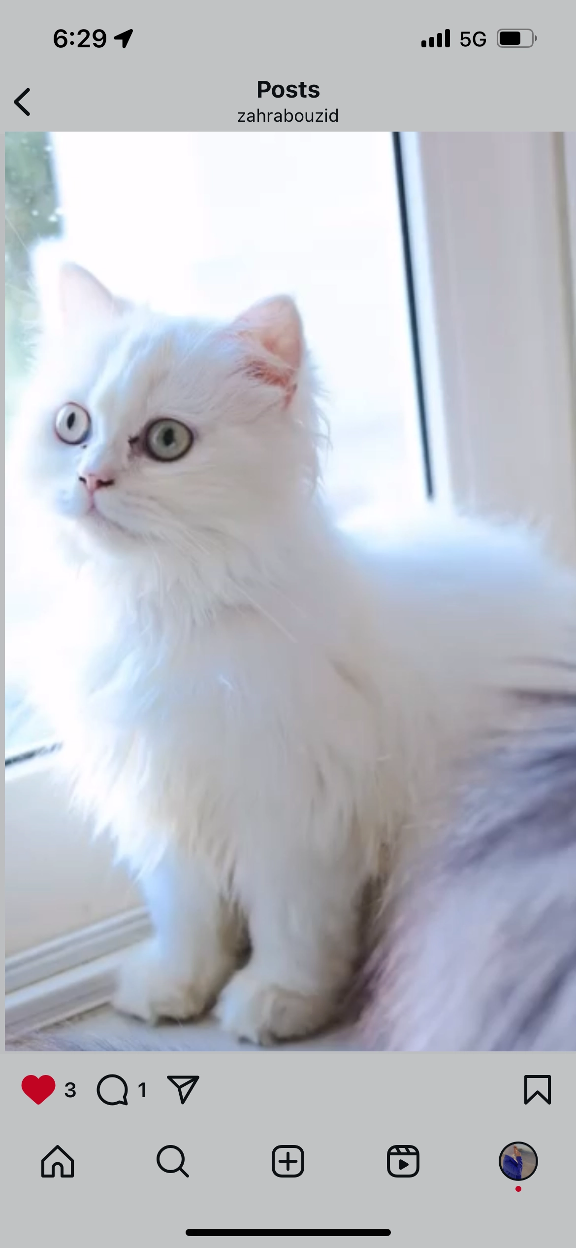 Snow White  - Soi Patio, Bangkok