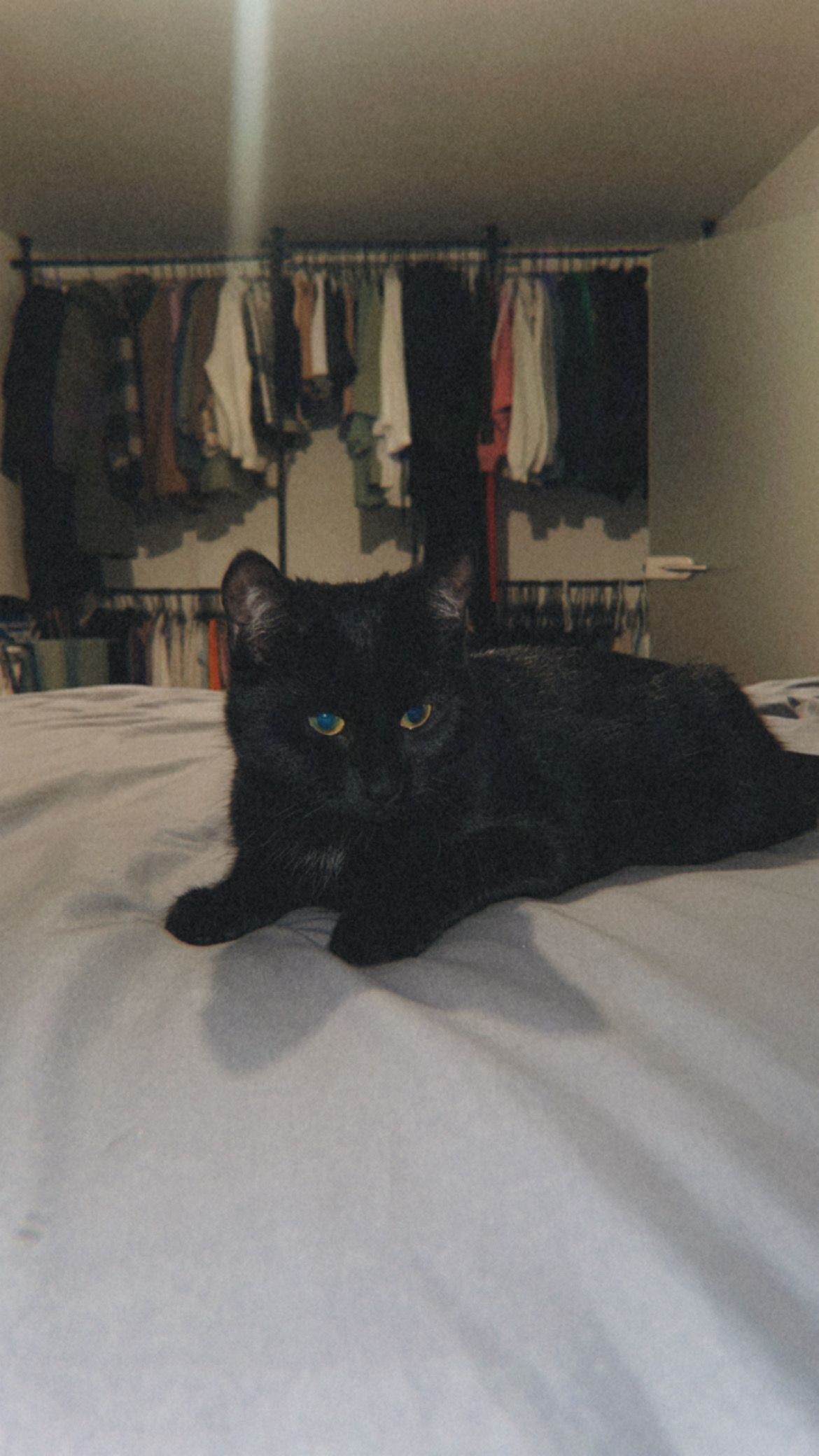 Bella  - Bahnhofstraße 10A, Wusterwitz