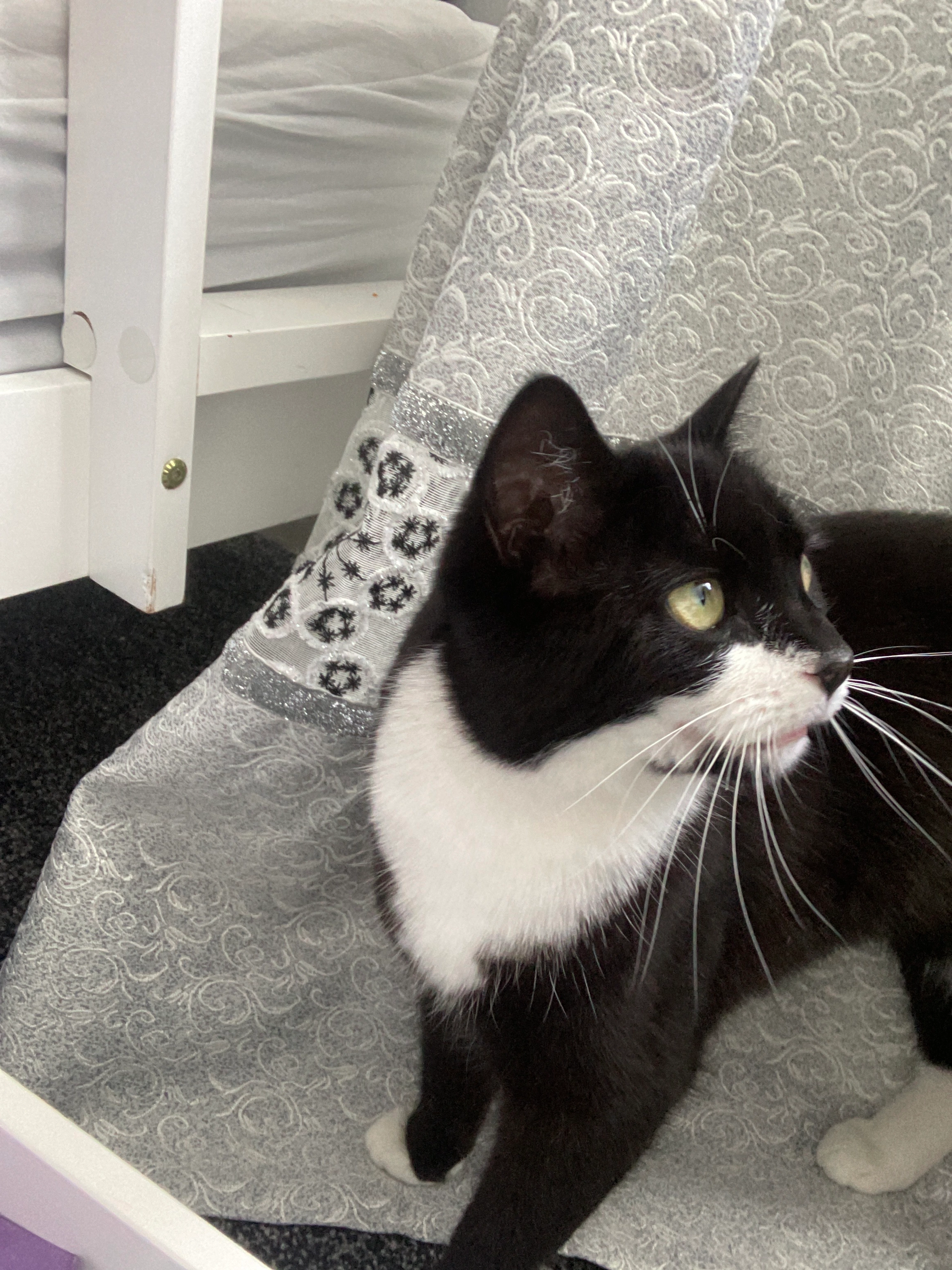 Mimi - BL1 8, Bolton