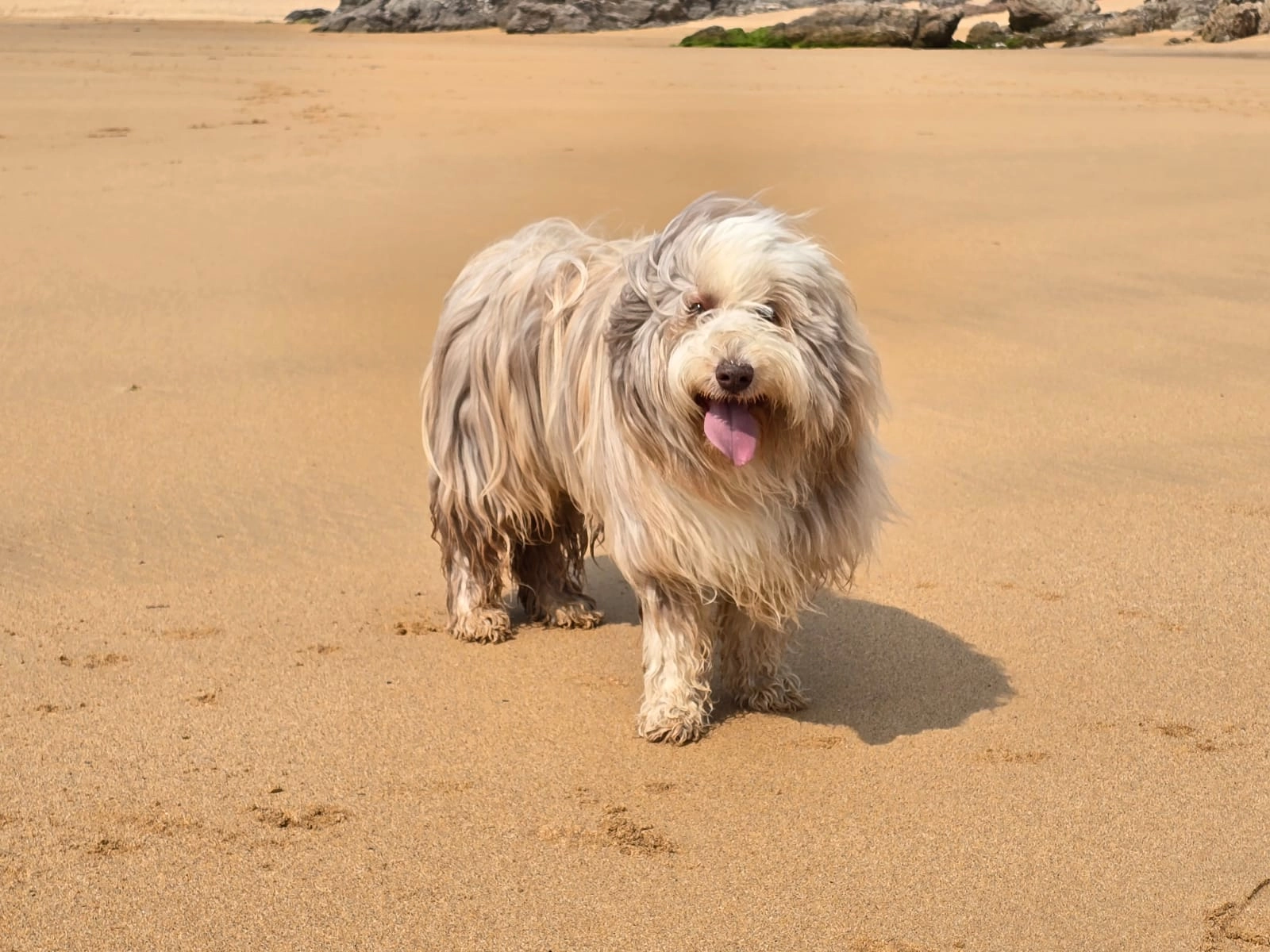 Java - Route De Nounen, Sulniac