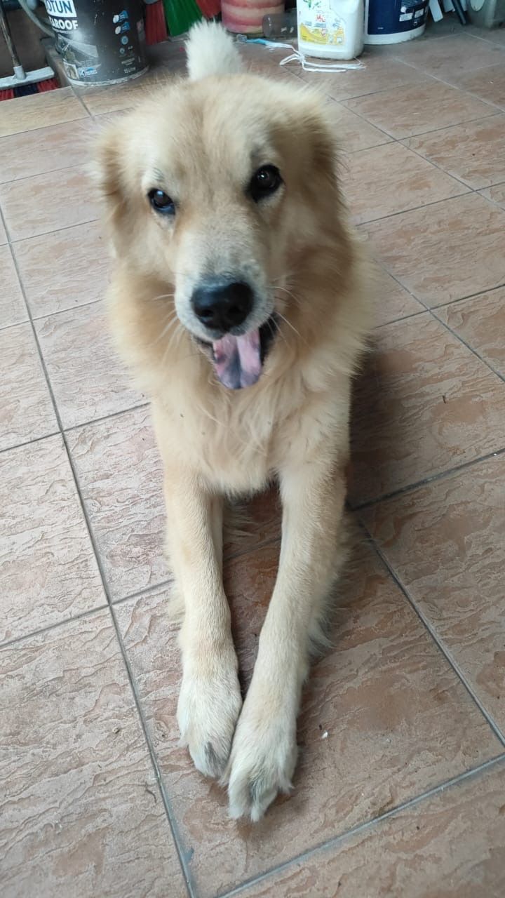 Lucky - Jalan Maju 1/8, Kajang