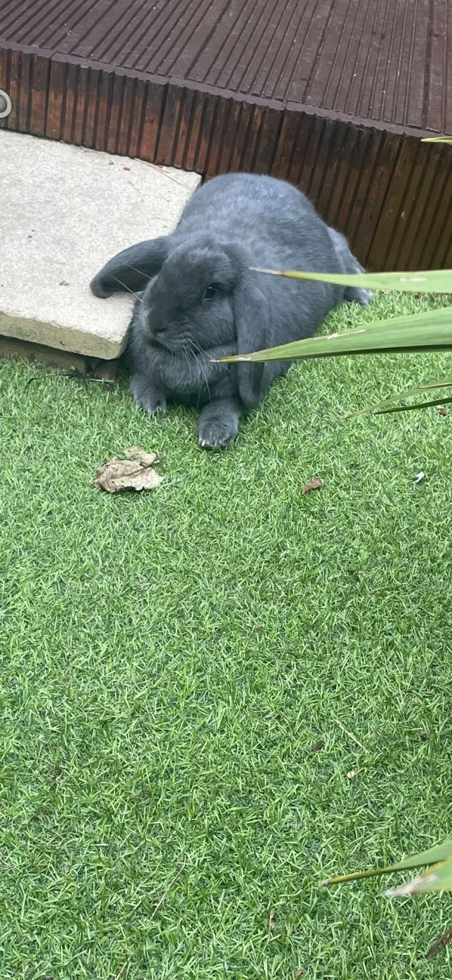 Her name is Lola  - College Place, London