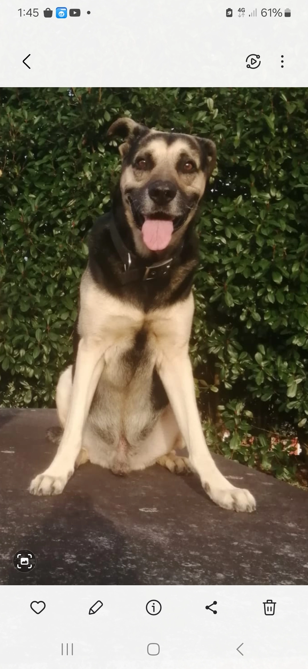 YEIKO - Porráns, Barro