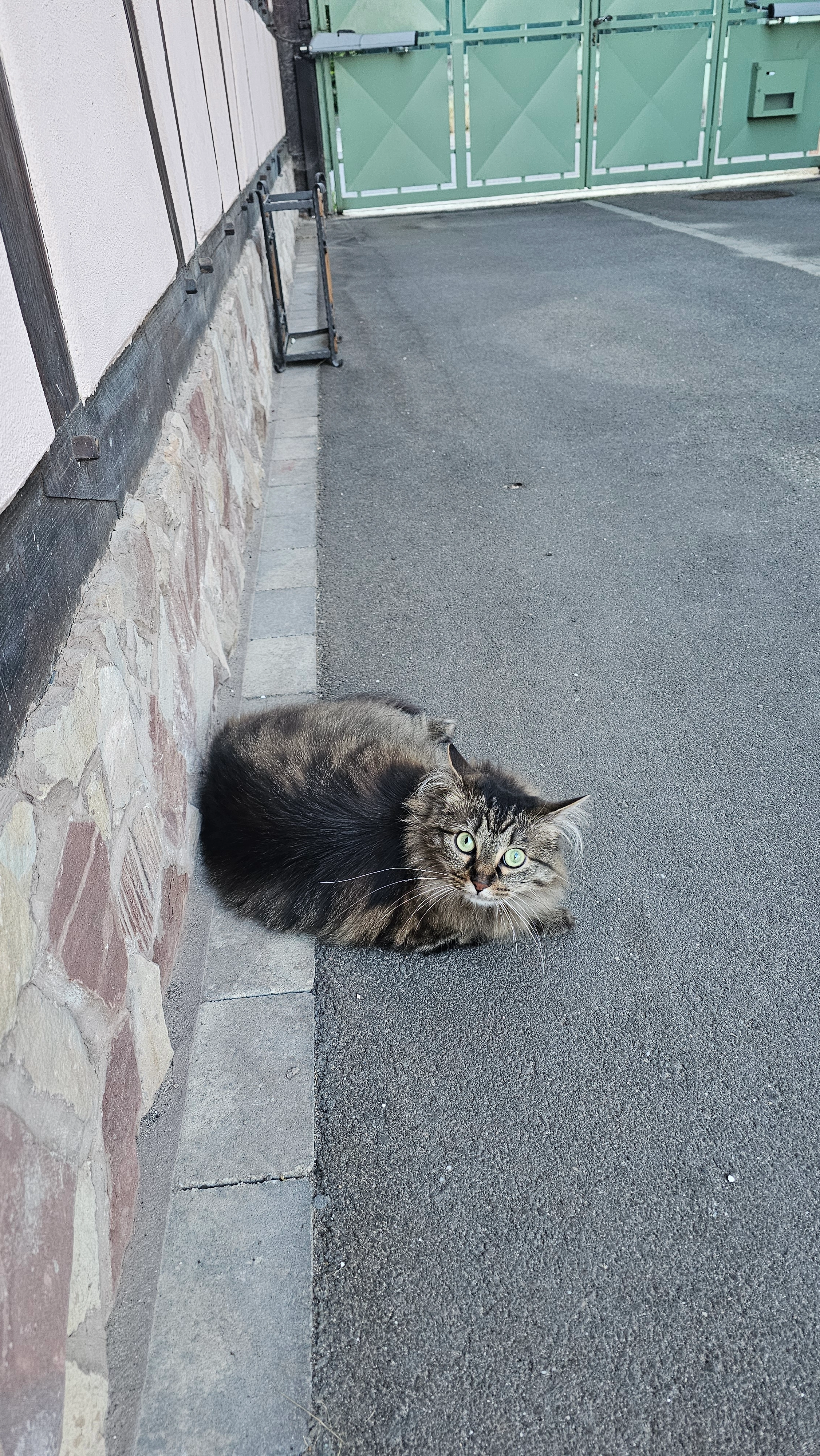 SUKI - 76 Rue du Général de Gaulle, Geispolsheim