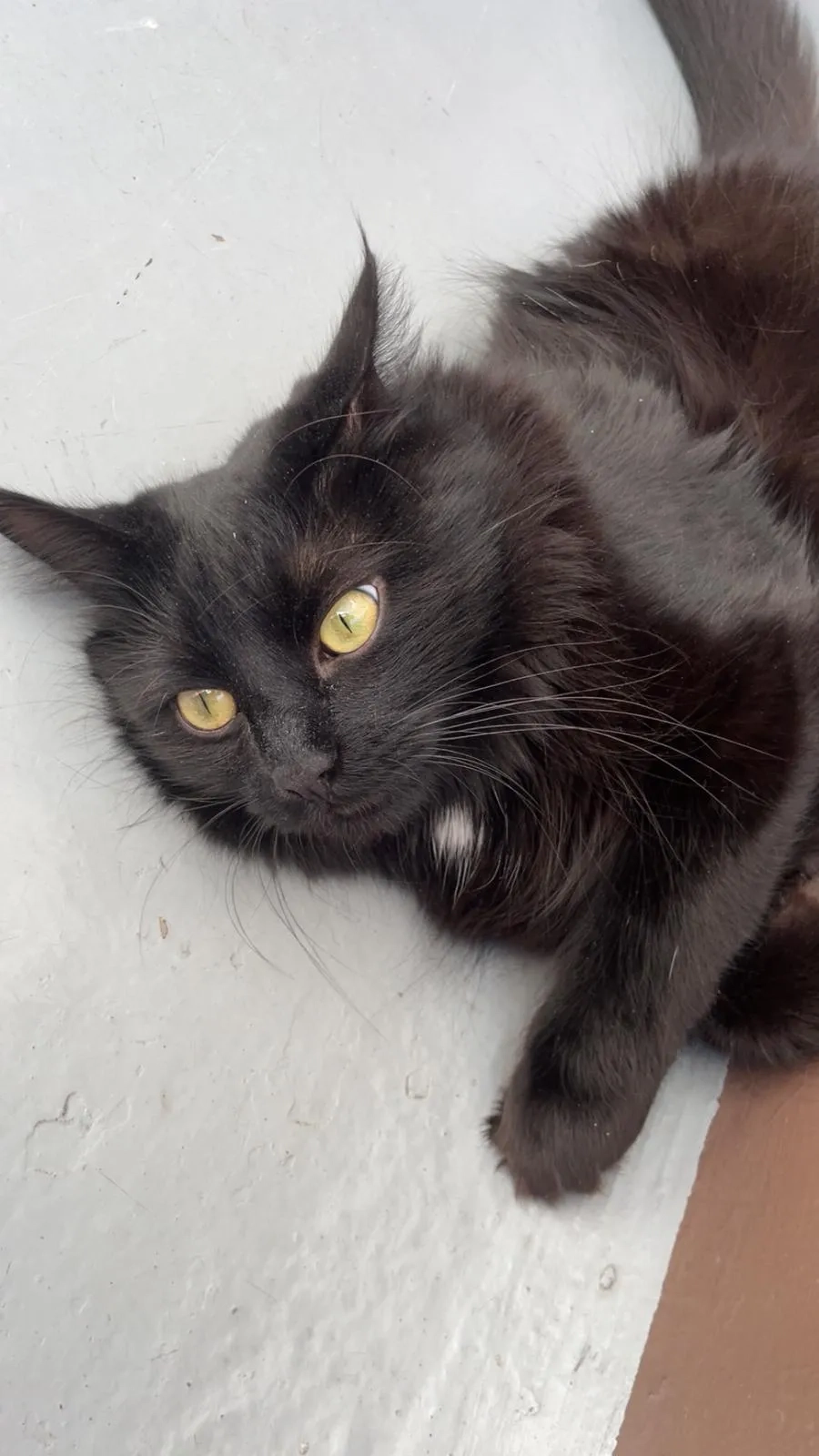 Zoro - Rue Camille Claudel, Tremblay-en-France