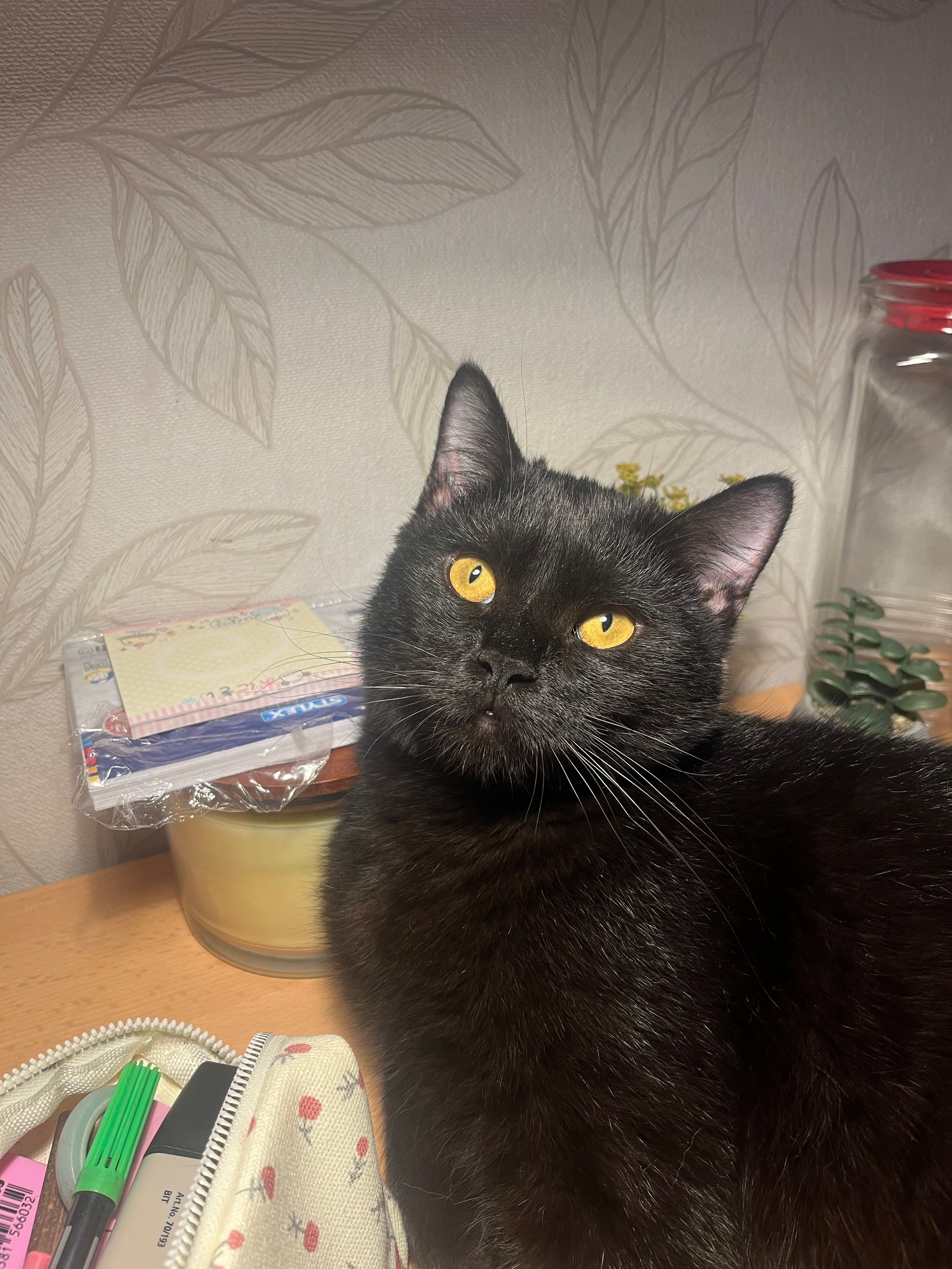 Tygar - Hermann-Löns-Straße, Greven