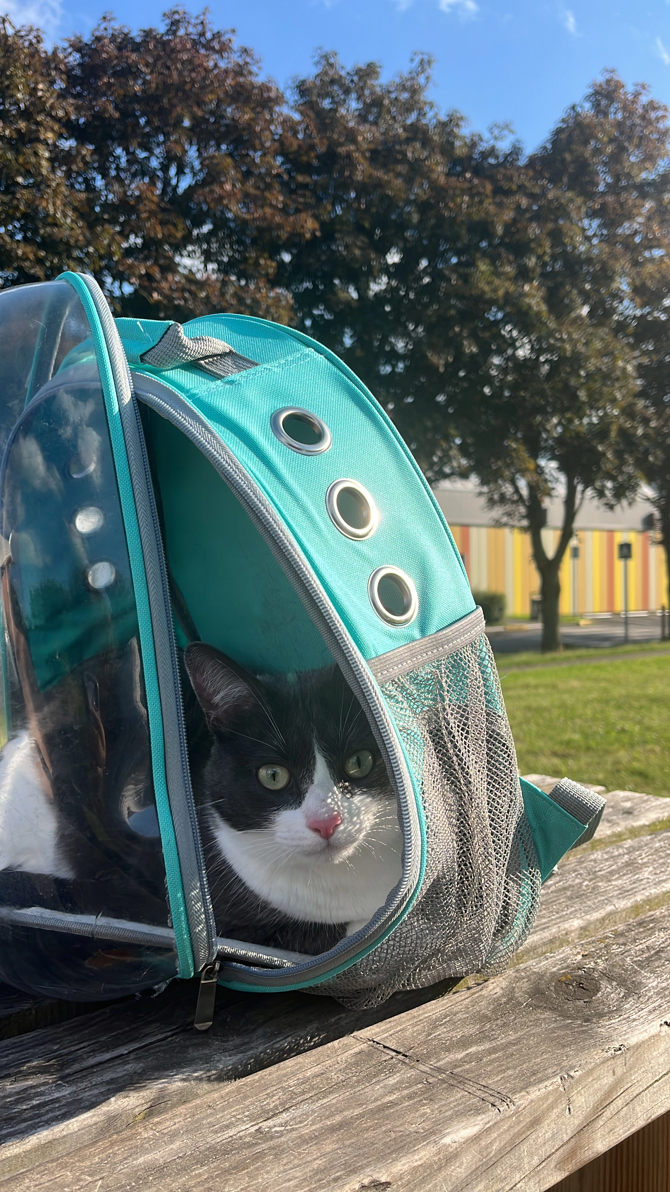 pepsi - 1 Rue Noël Malvache, Aulnoy-lez-Valenciennes