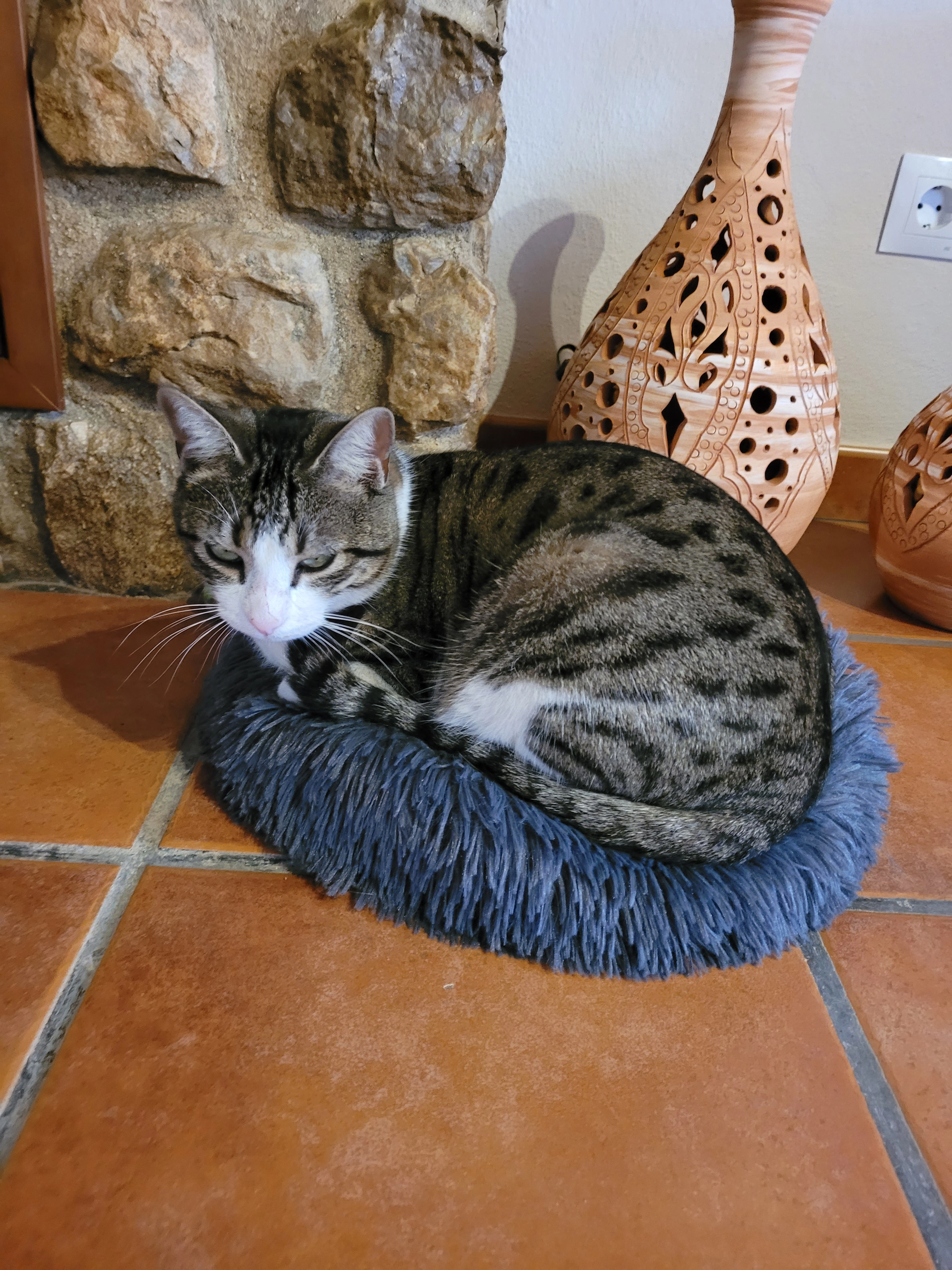 Güiri  - Carretera De Antequera A Zalea, Antequera