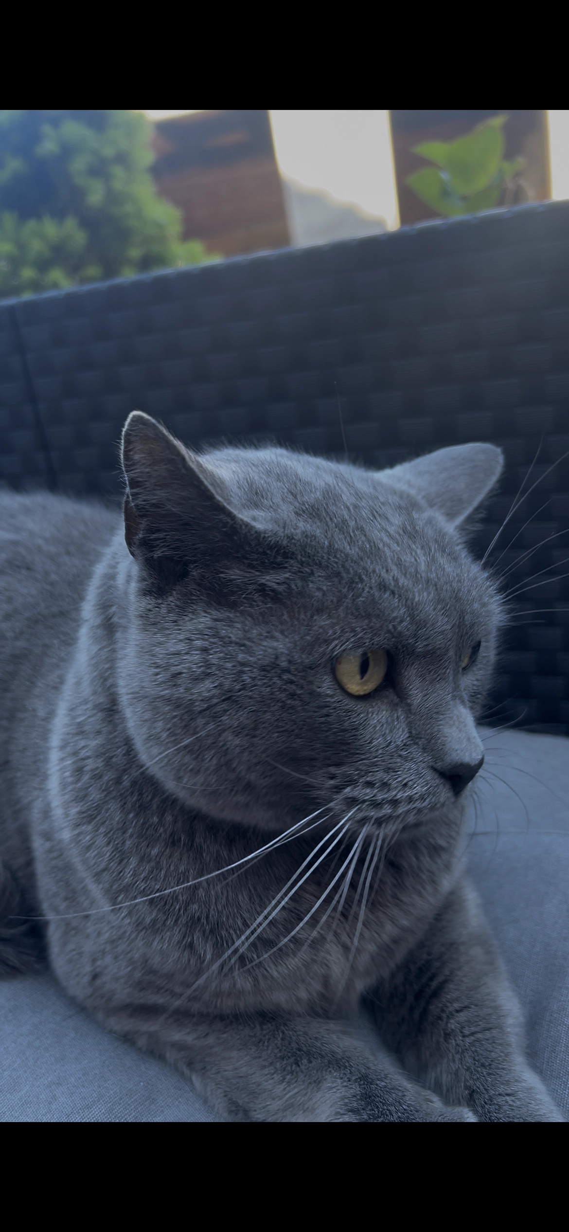 Puki - Coopers Way, Blackpool