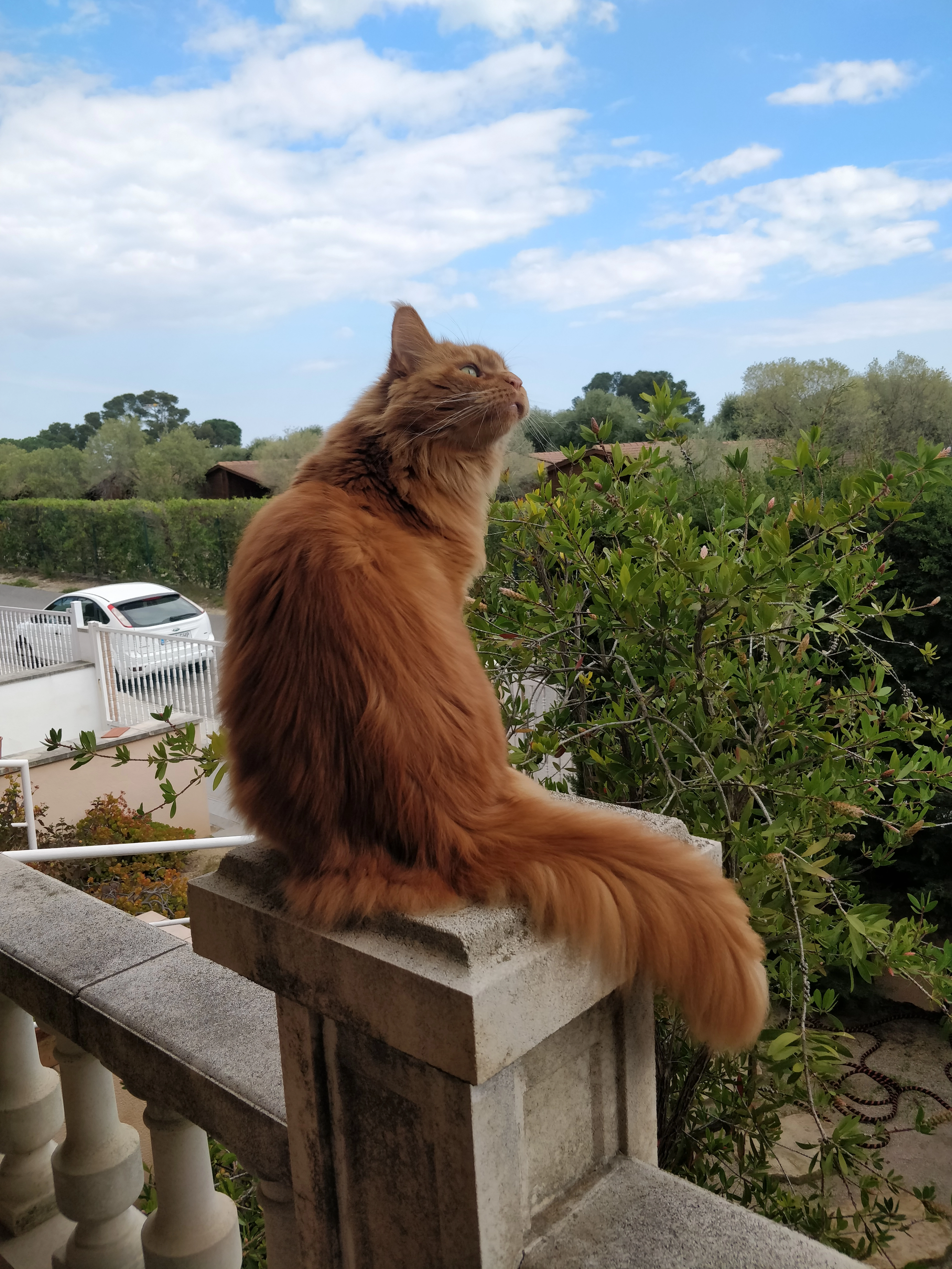 Matias - Carrer Del Cap De Sant Pere, Cambrils