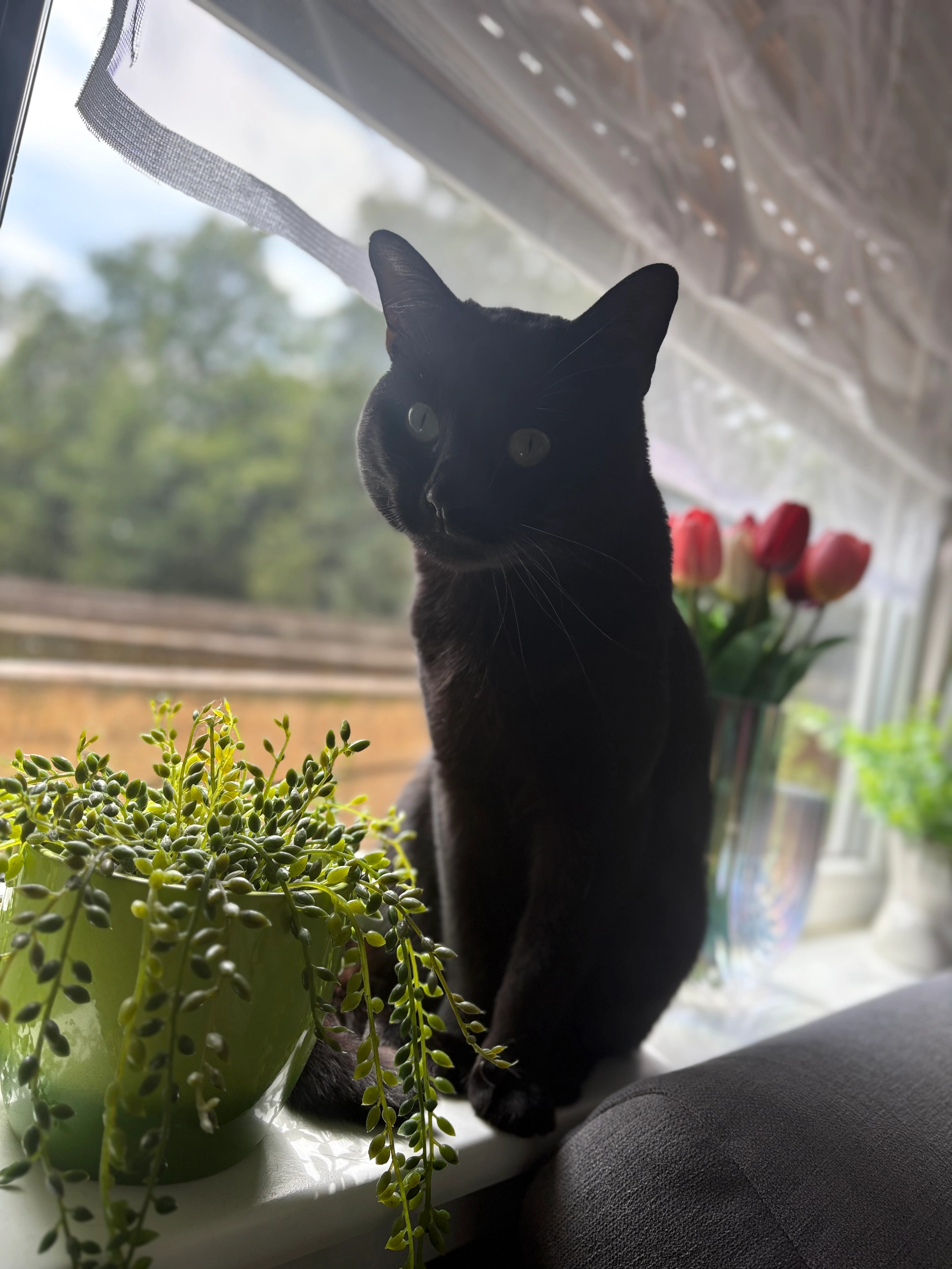 Sky - Farrenbracken, Remscheid