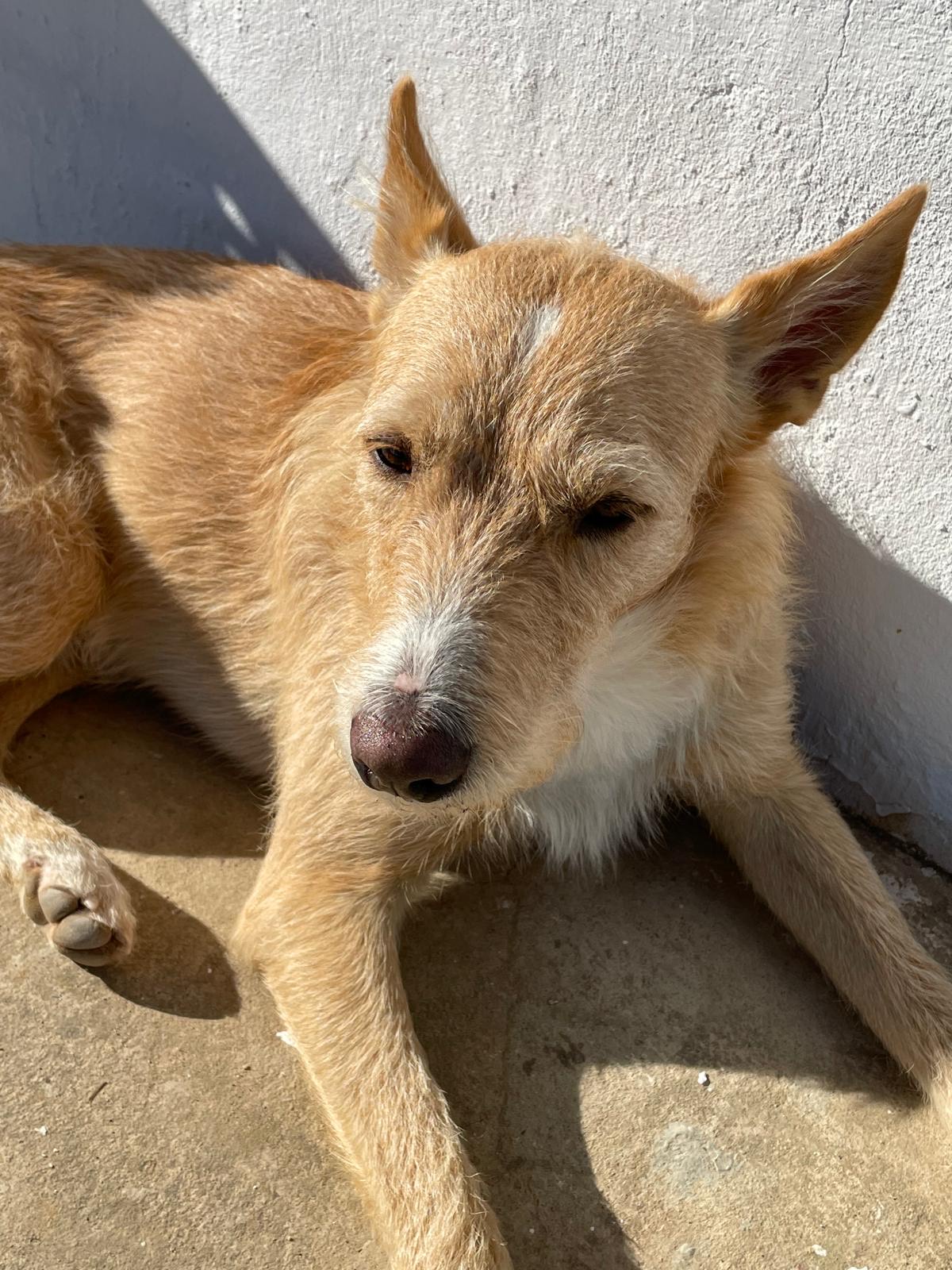 Río  - Plaza De Los Diseminados P-36, Pedralba