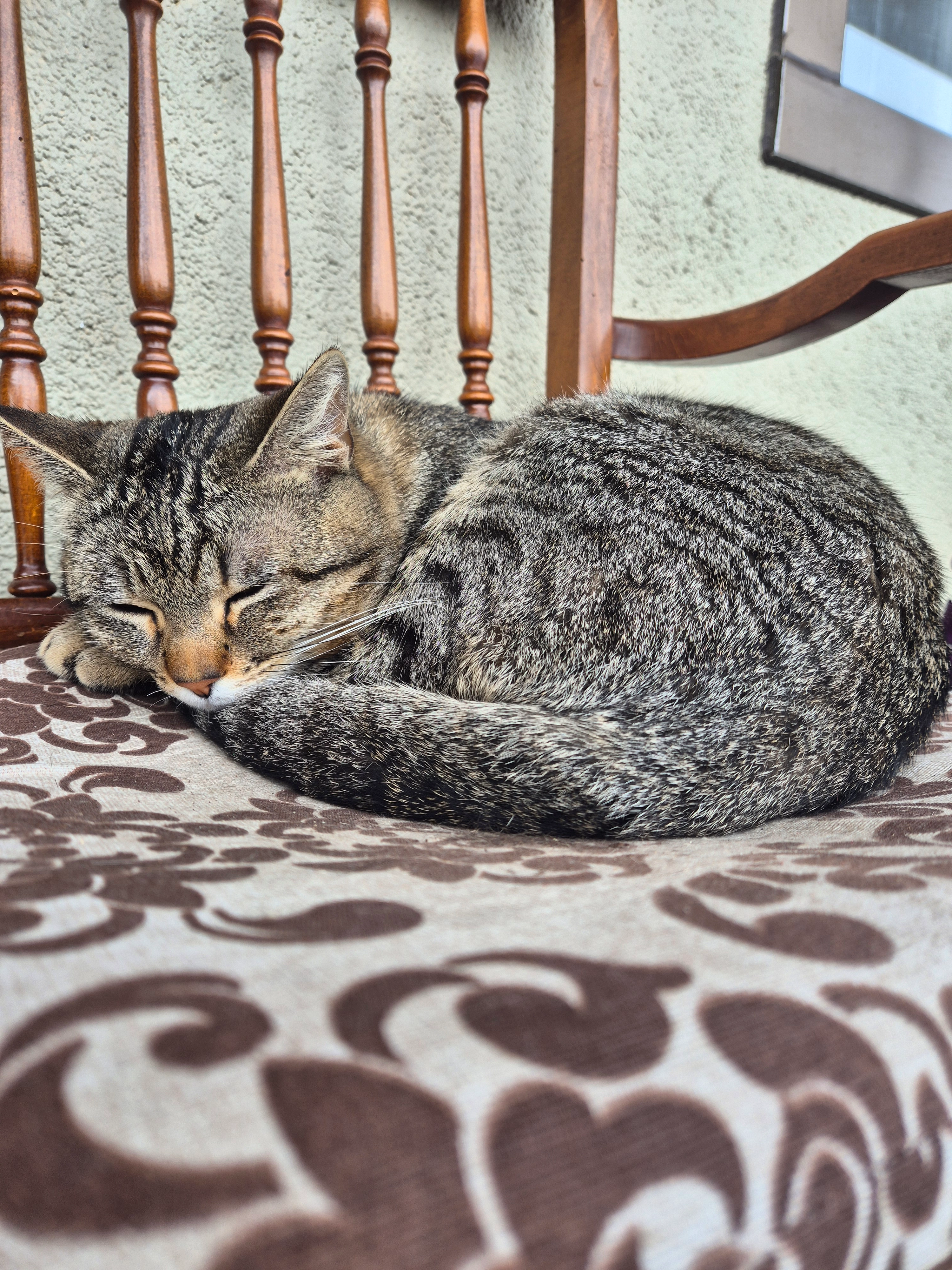 Zeus - Lugar Abeledo, Taboadela