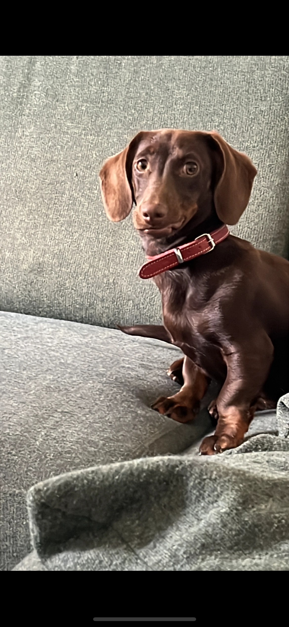 lucy - Zandakkers 10, Maldegem