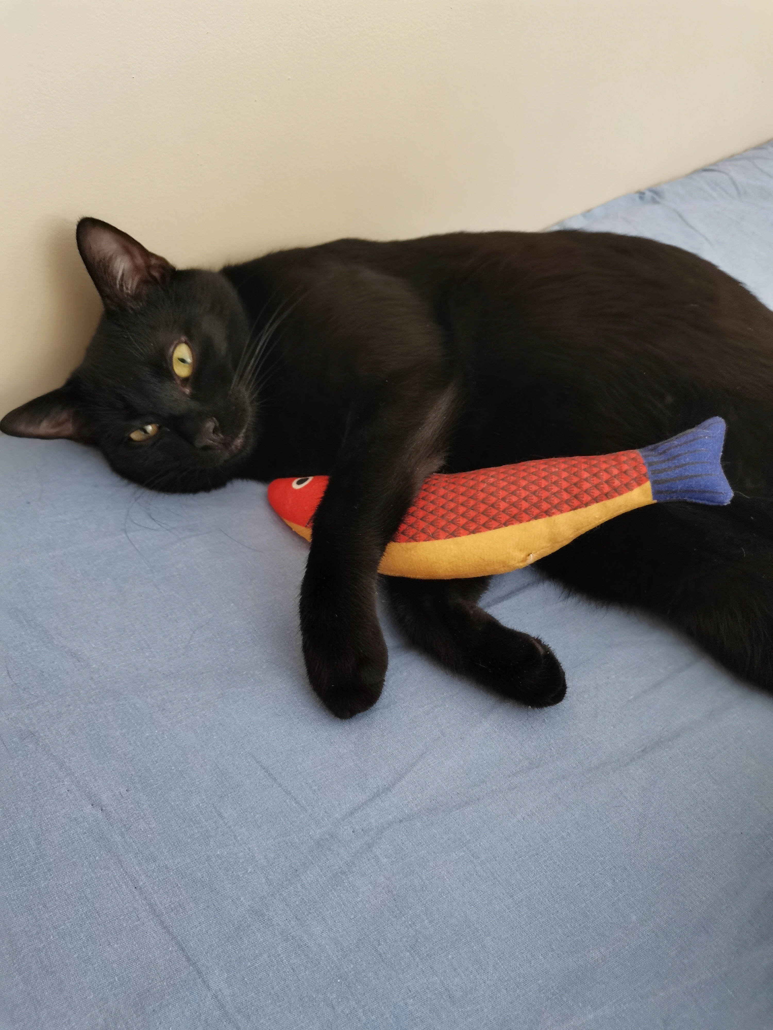 Potap - Boulevard Michelet, Hardricourt