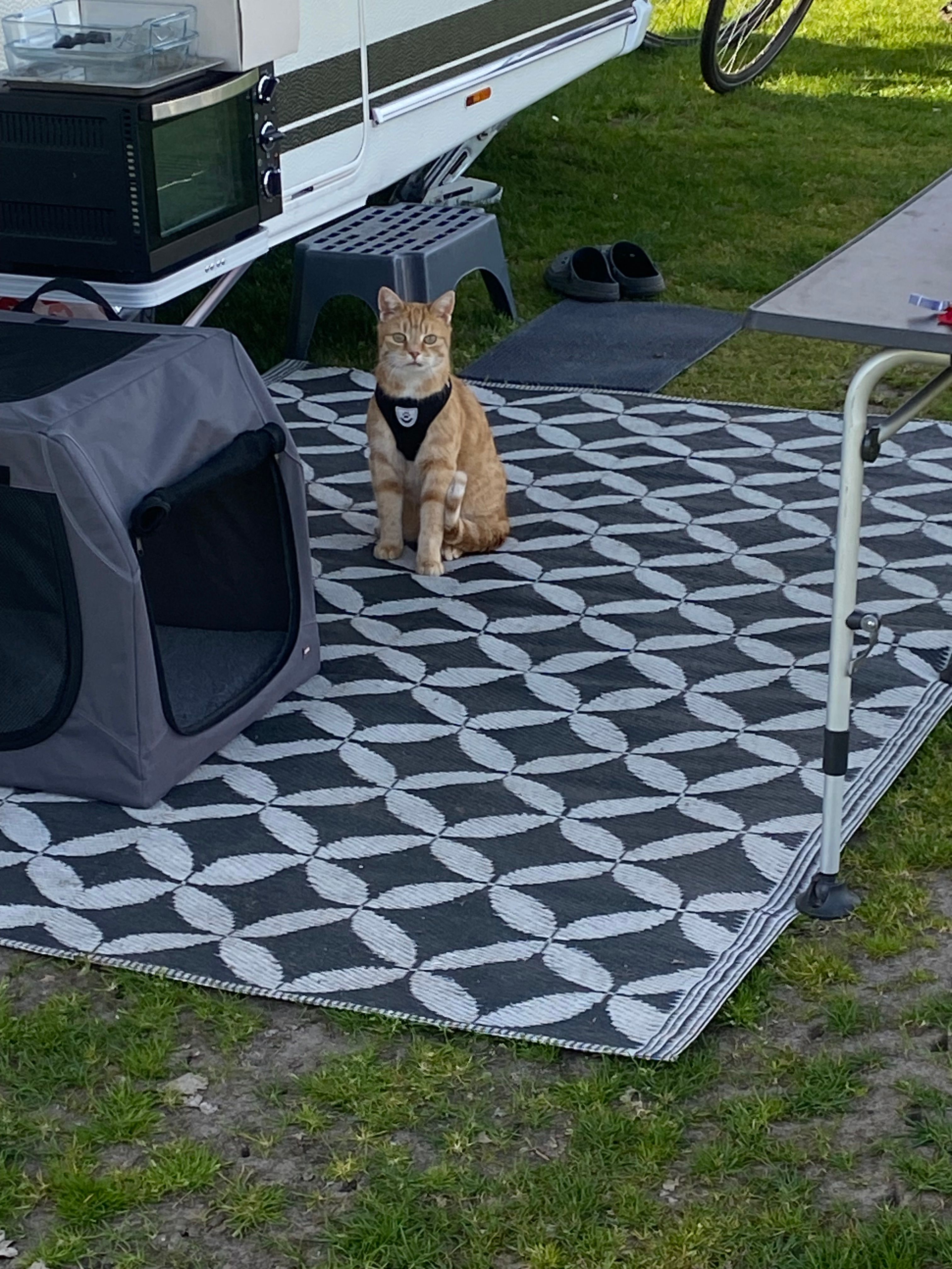 Floris - Reistert, Idar-Oberstein